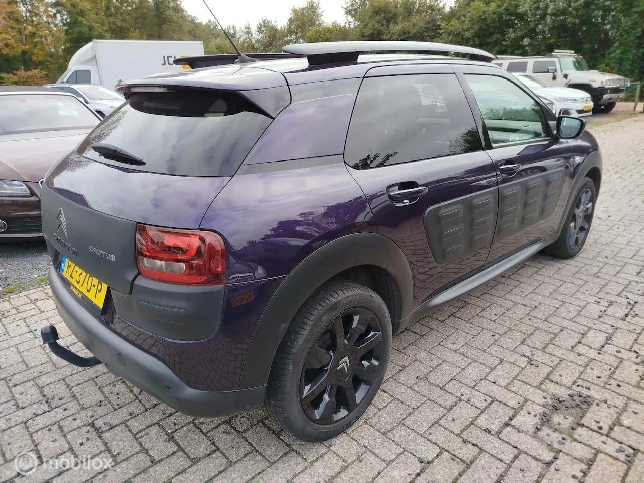 Hoofdafbeelding Citroën C4 Cactus