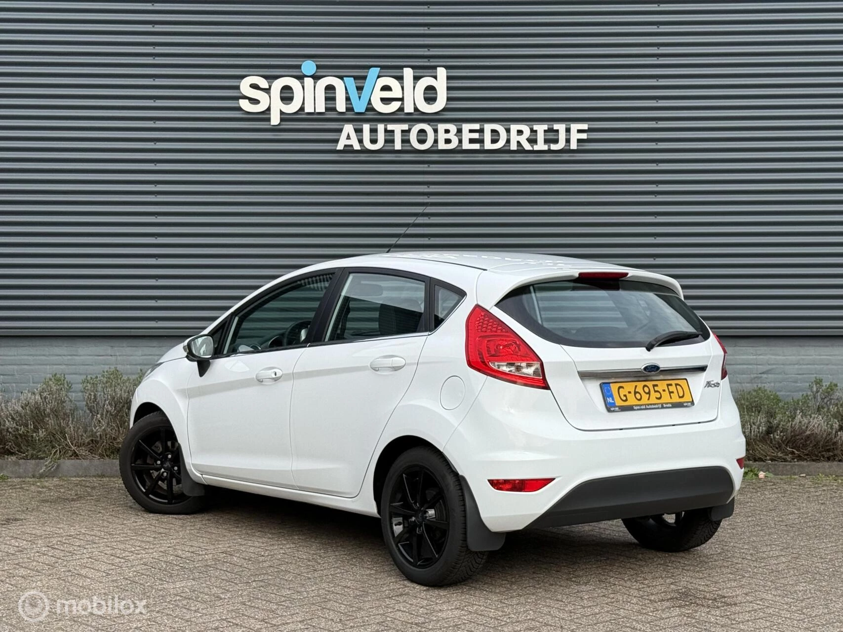 Hoofdafbeelding Ford Fiesta