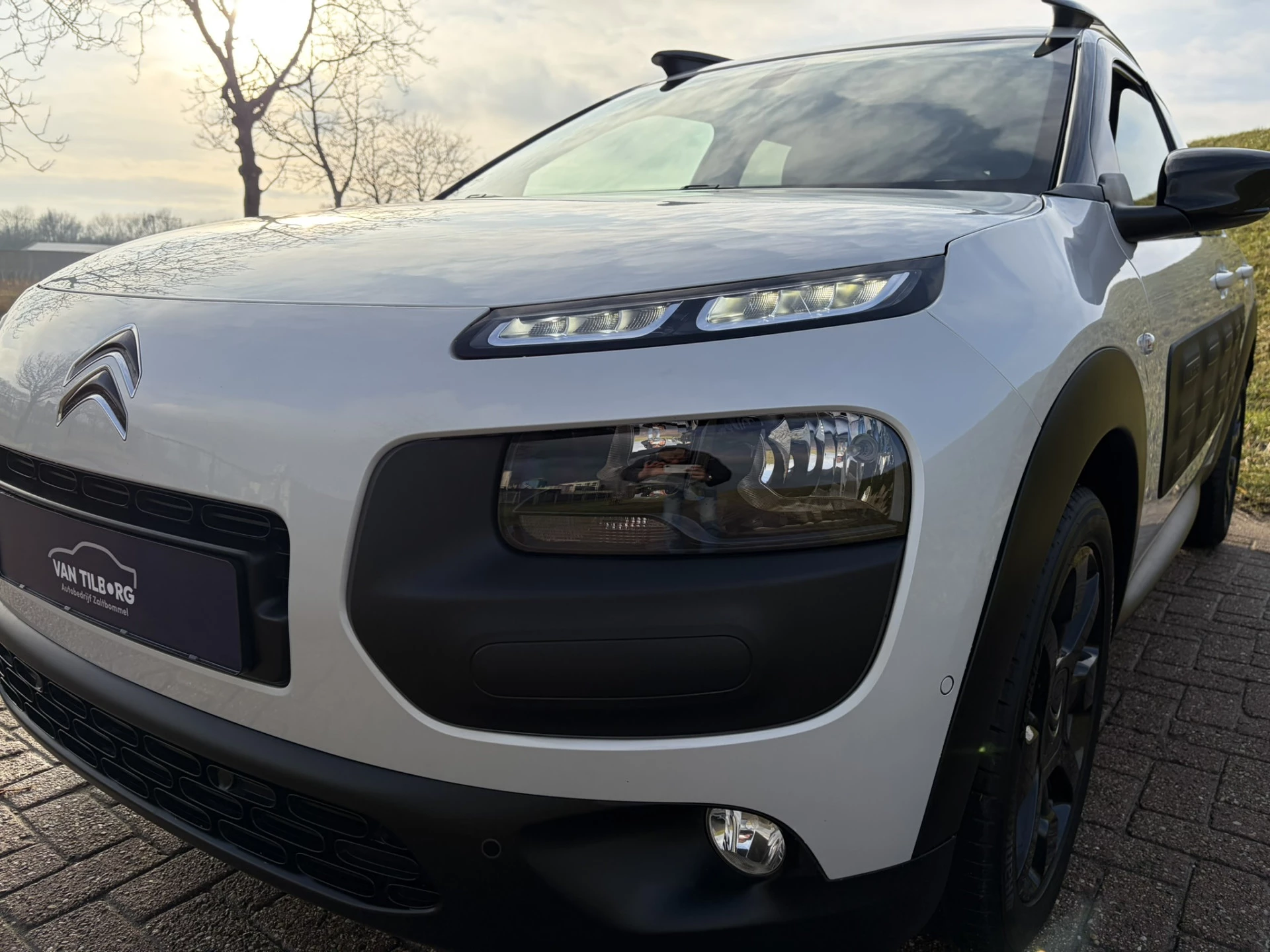 Hoofdafbeelding Citroën C4 Cactus