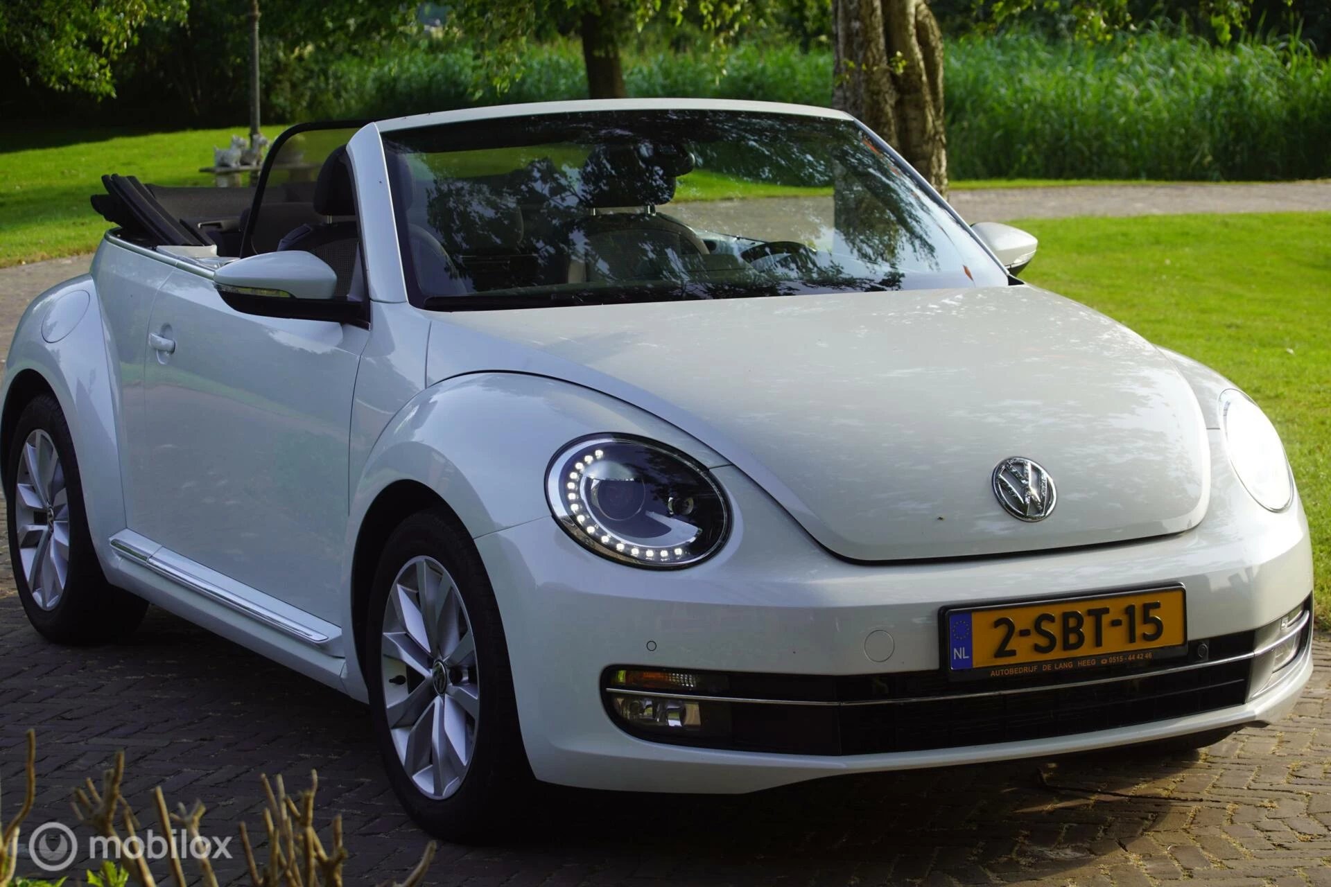 Hoofdafbeelding Volkswagen Beetle