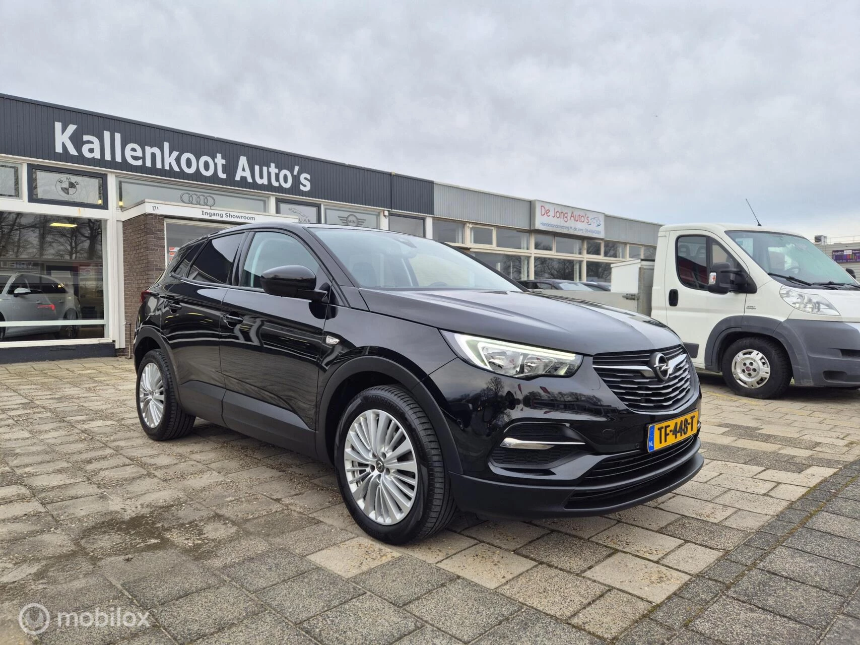Hoofdafbeelding Opel Grandland X