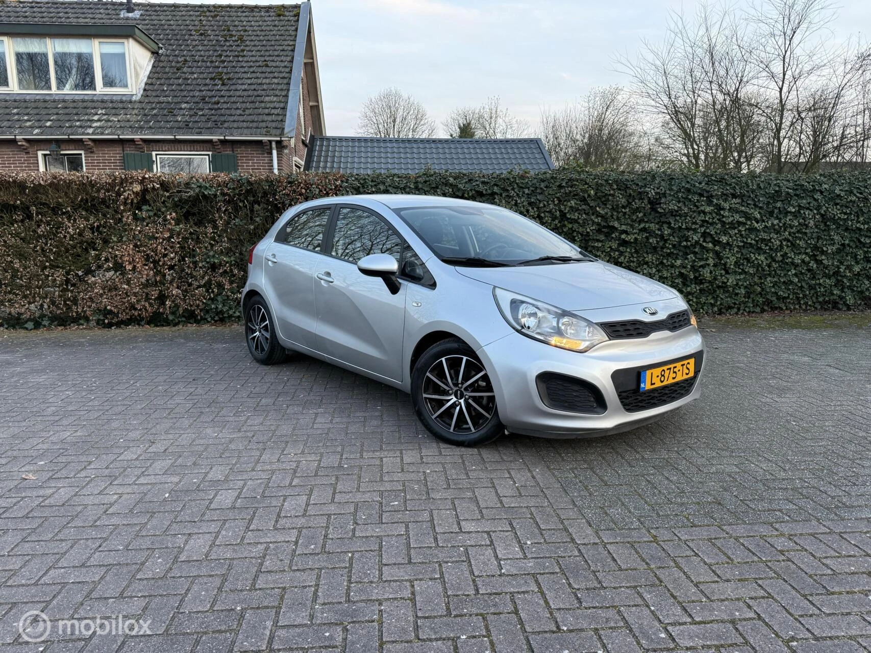 Hoofdafbeelding Kia Rio