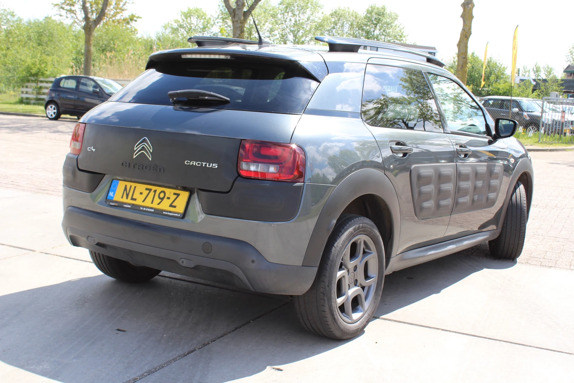 Hoofdafbeelding Citroën C4 Cactus