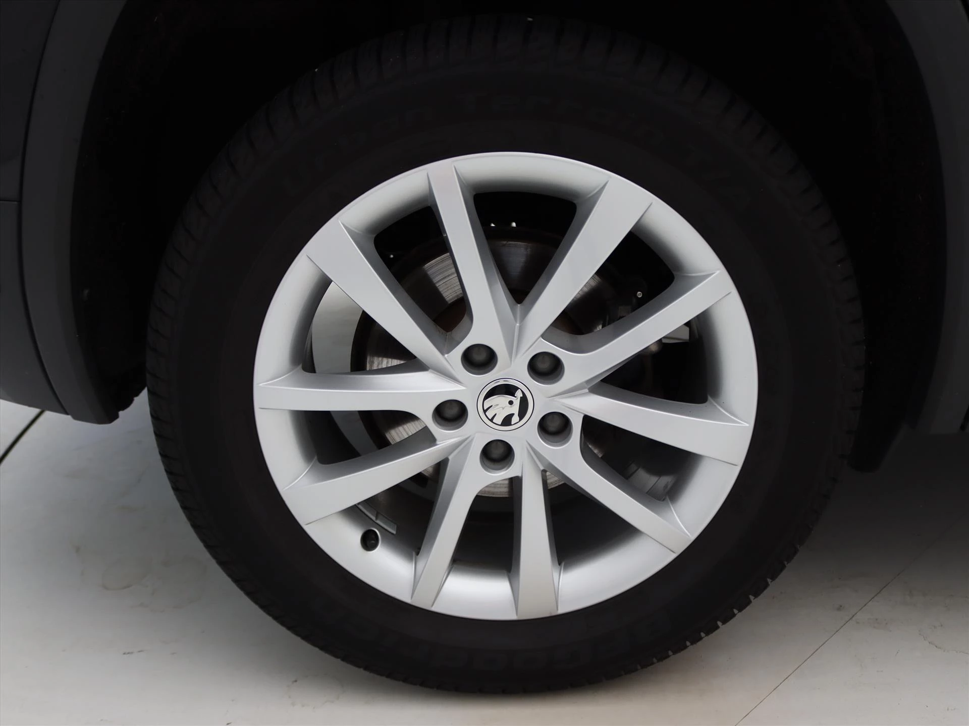 Hoofdafbeelding Škoda Kodiaq