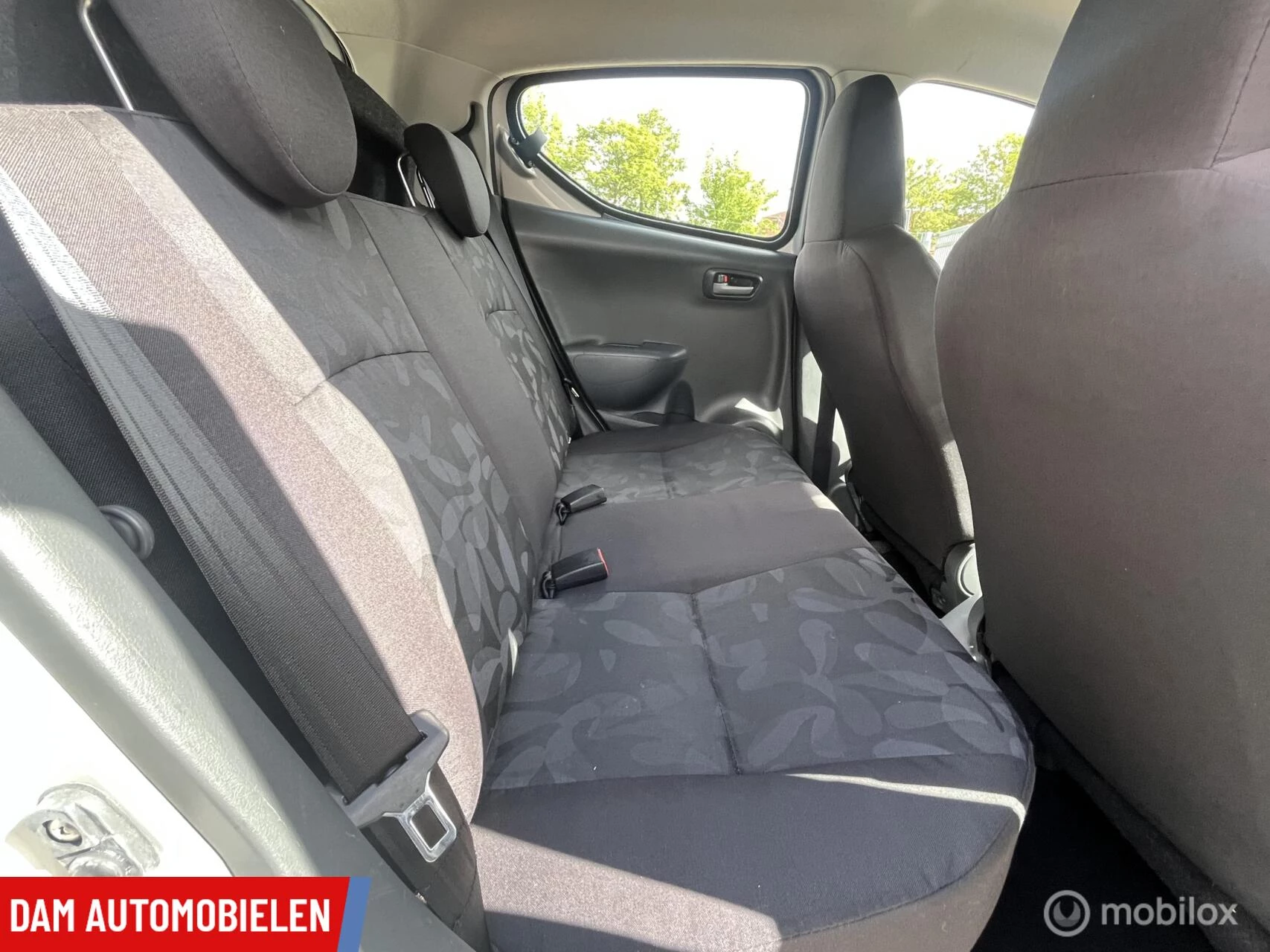 Hoofdafbeelding Suzuki Alto
