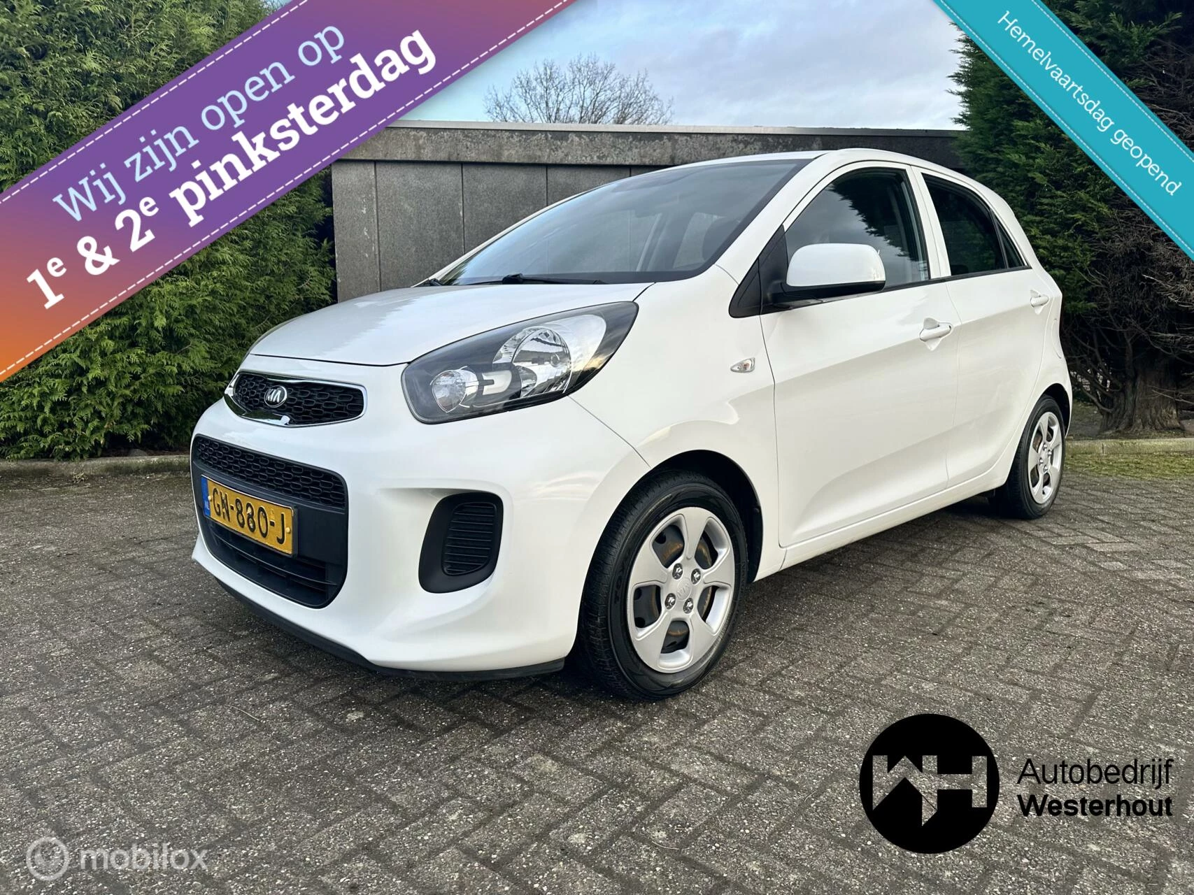 Hoofdafbeelding Kia Picanto