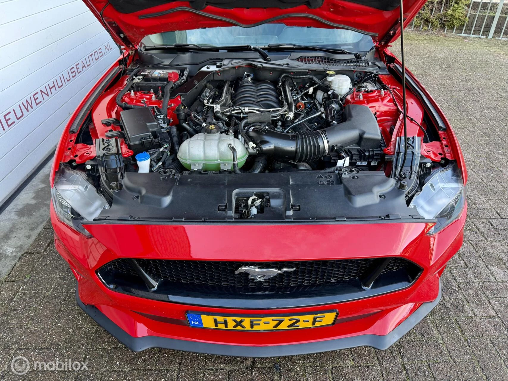 Hoofdafbeelding Ford Mustang