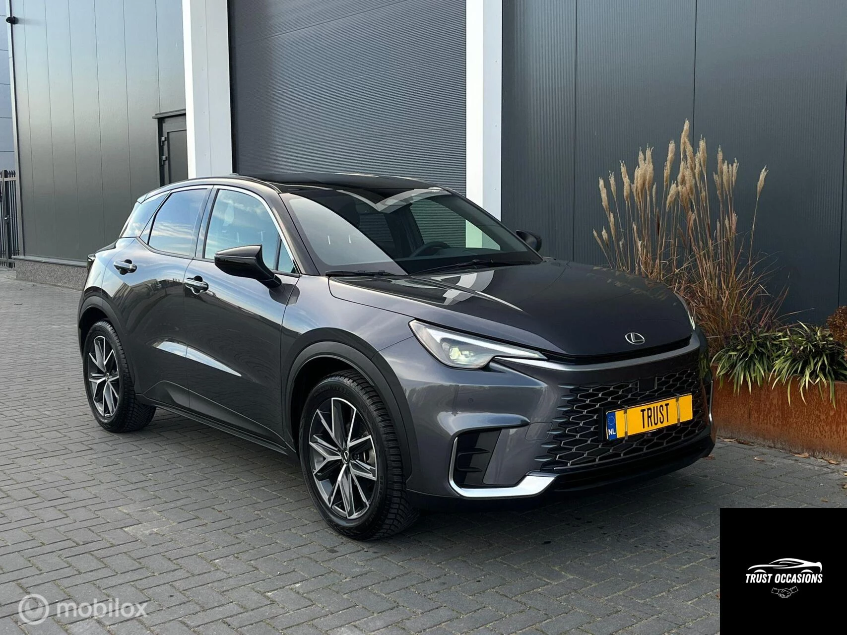 Hoofdafbeelding Lexus LBX