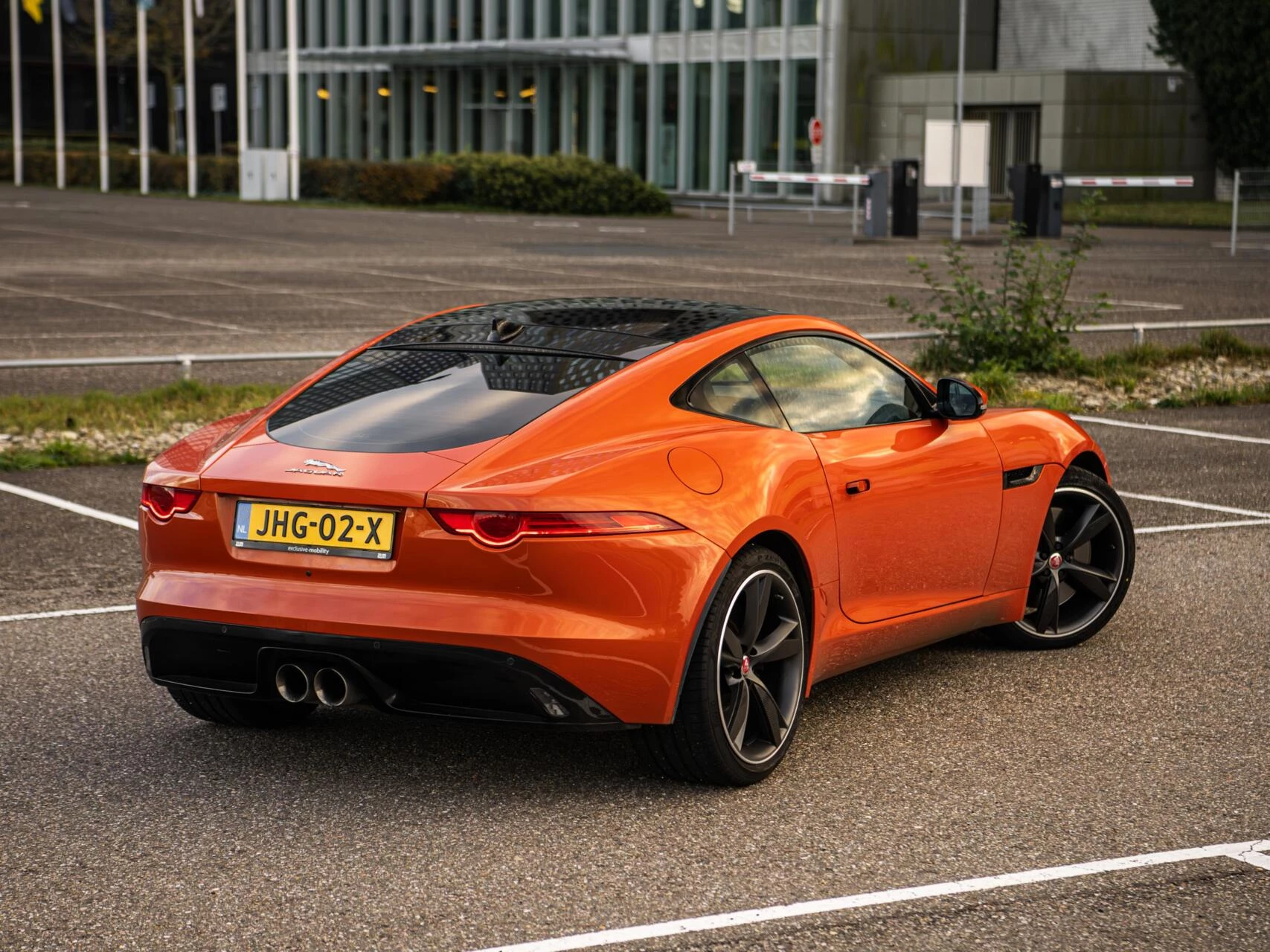 Hoofdafbeelding Jaguar F-Type