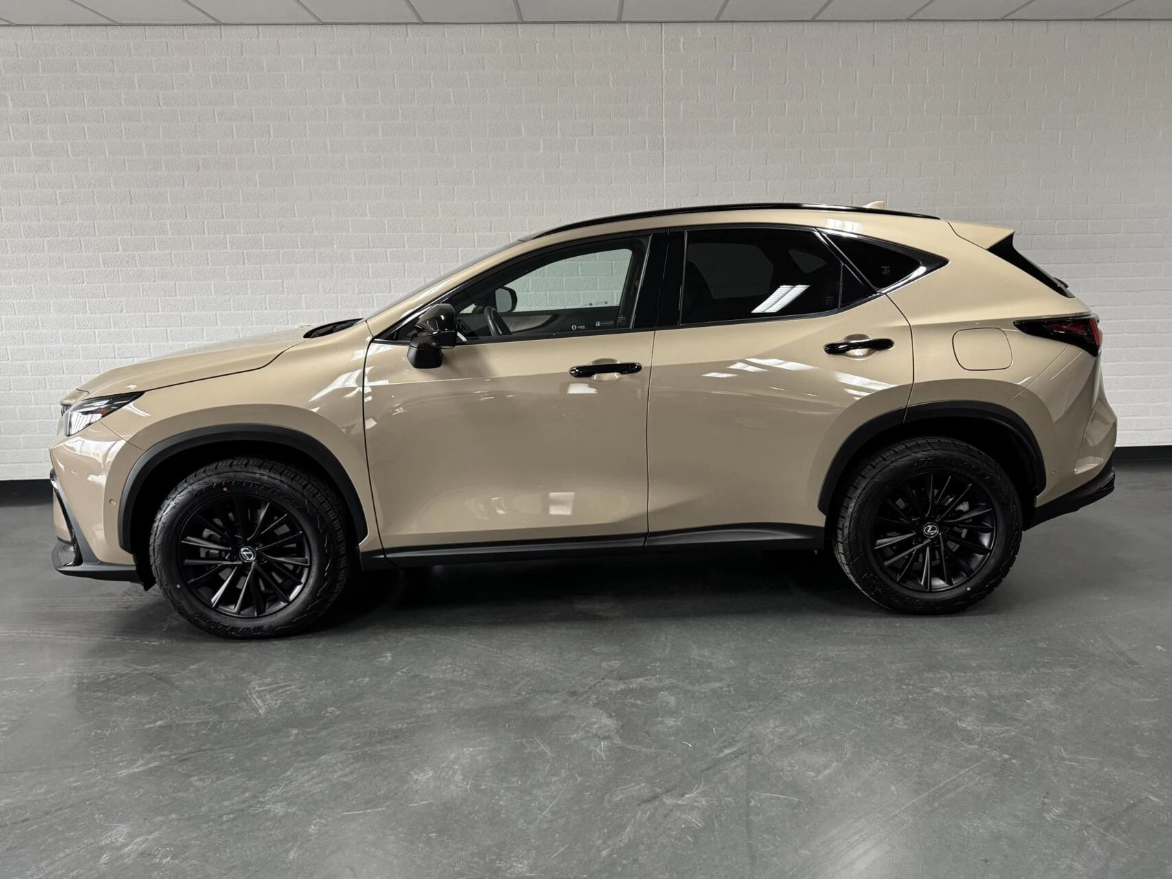 Hoofdafbeelding Lexus NX