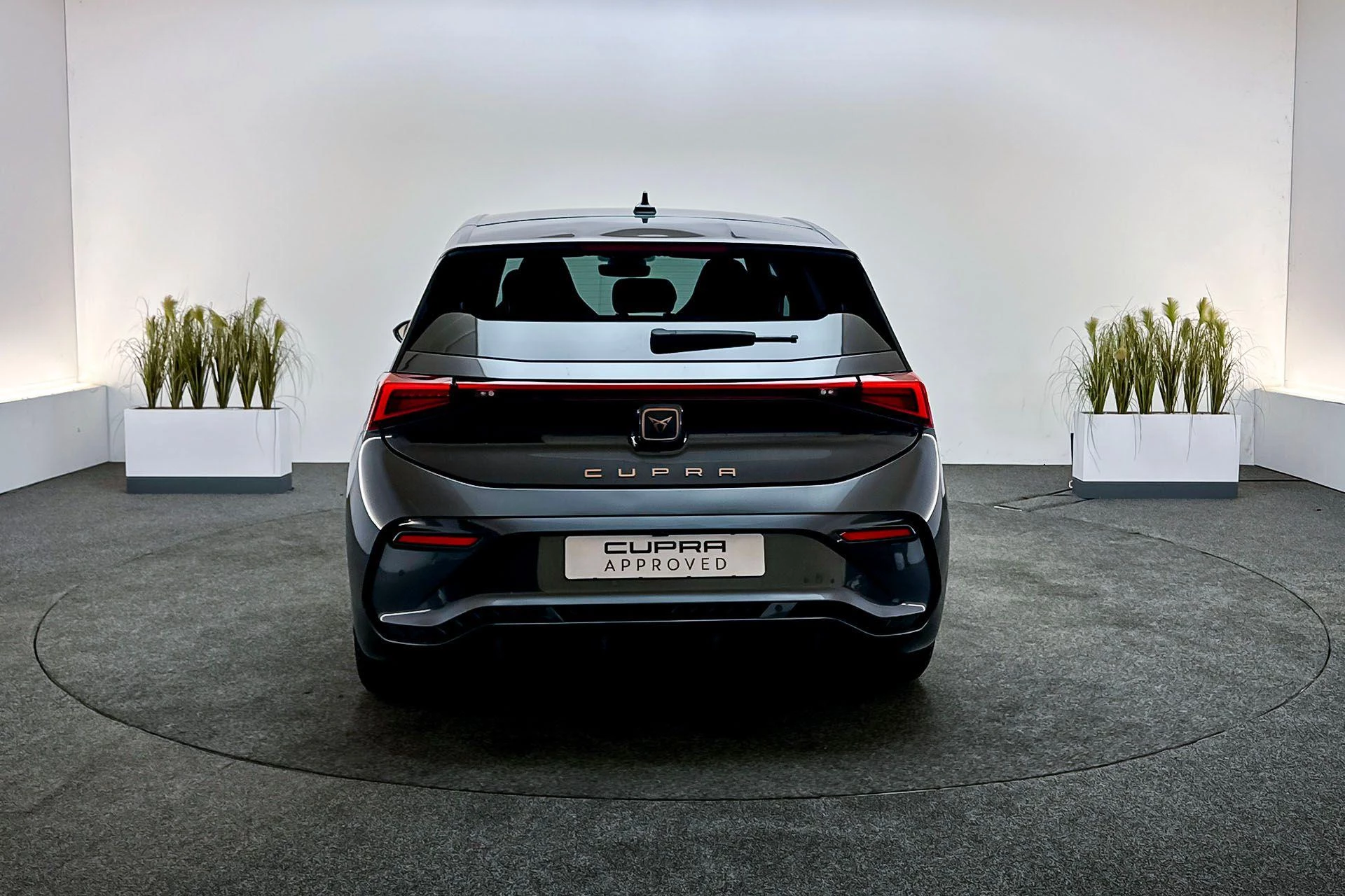 Hoofdafbeelding CUPRA Born