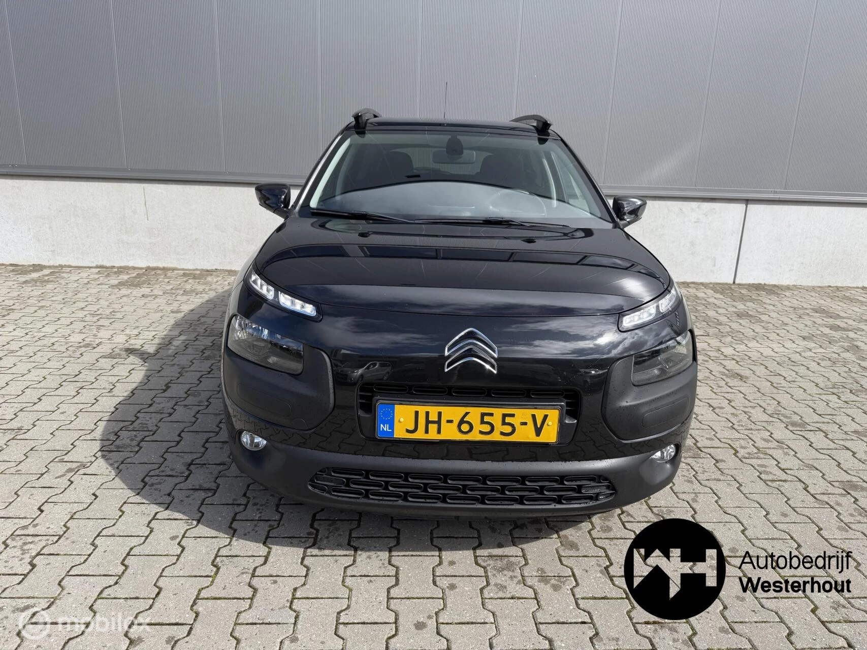 Hoofdafbeelding Citroën C4 Cactus