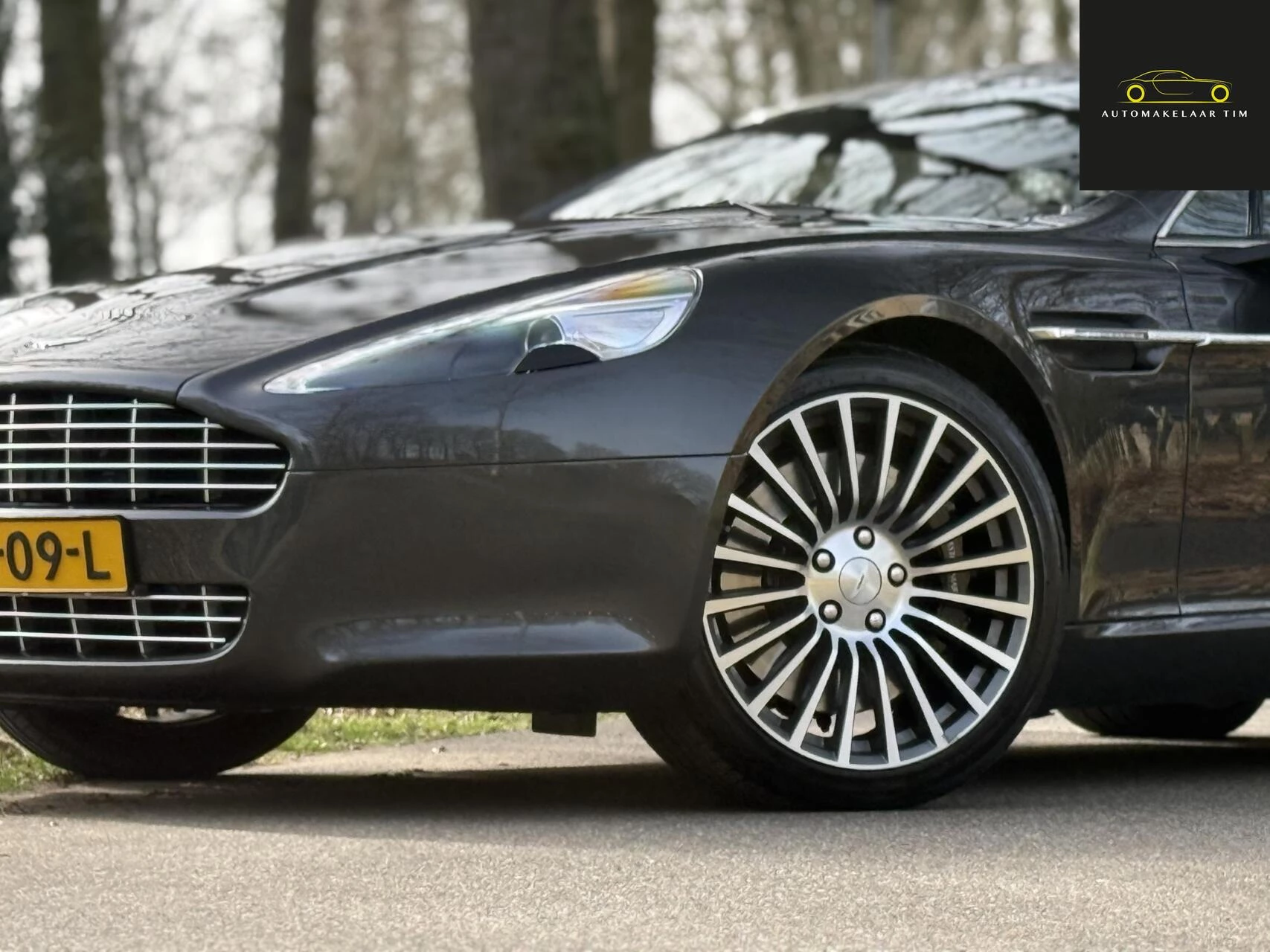 Hoofdafbeelding Aston Martin Rapide