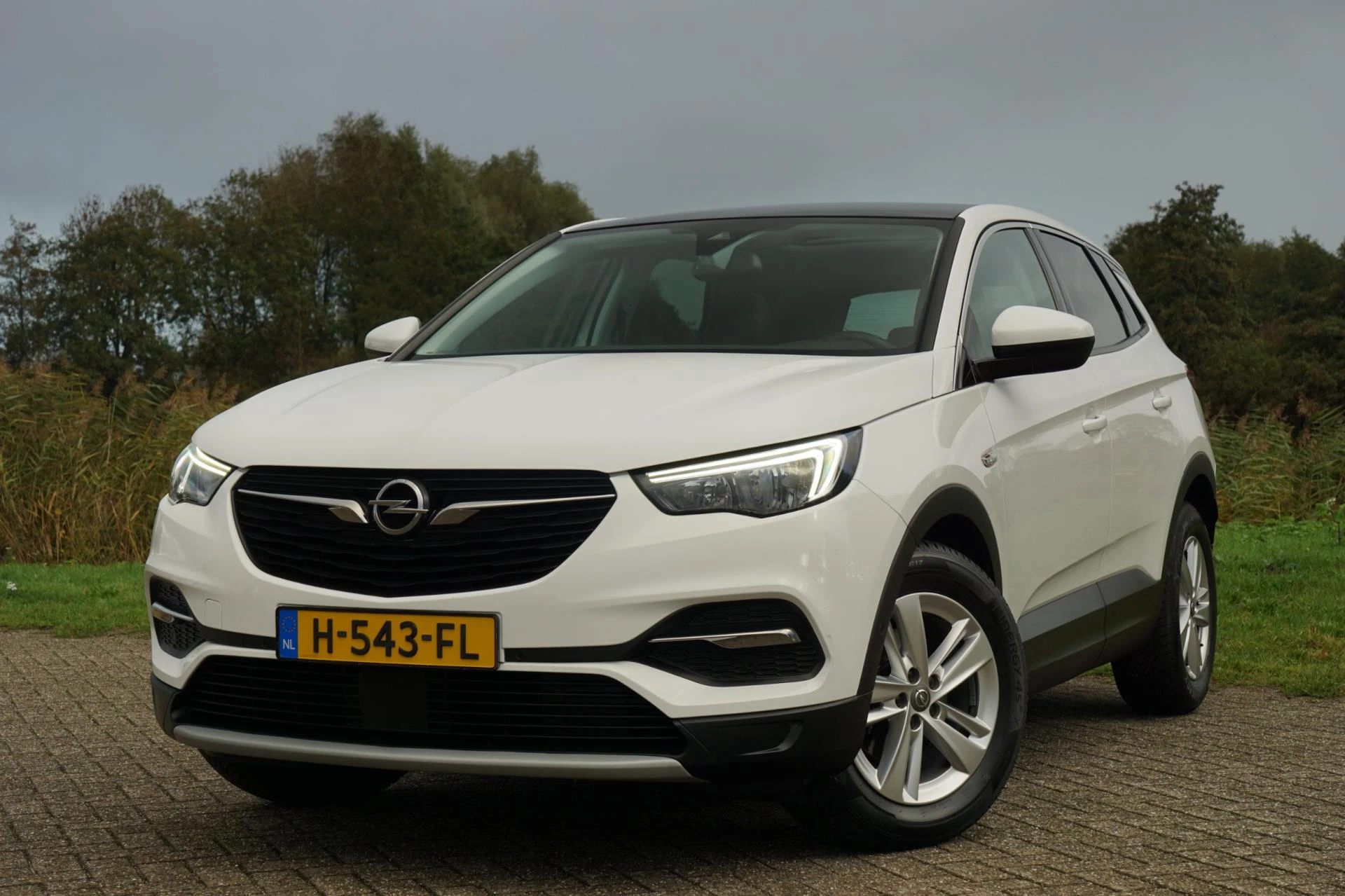 Hoofdafbeelding Opel Grandland X
