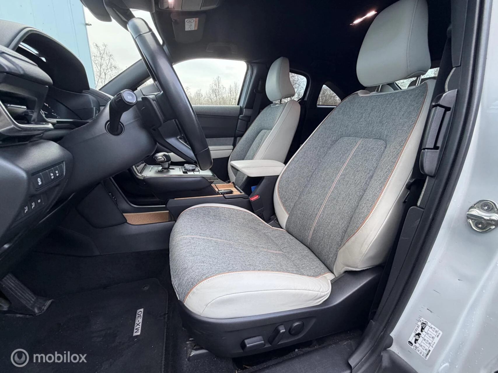 Hoofdafbeelding Mazda MX-30