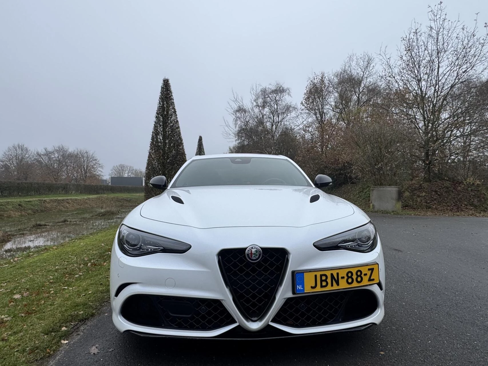 Hoofdafbeelding Alfa Romeo Giulia