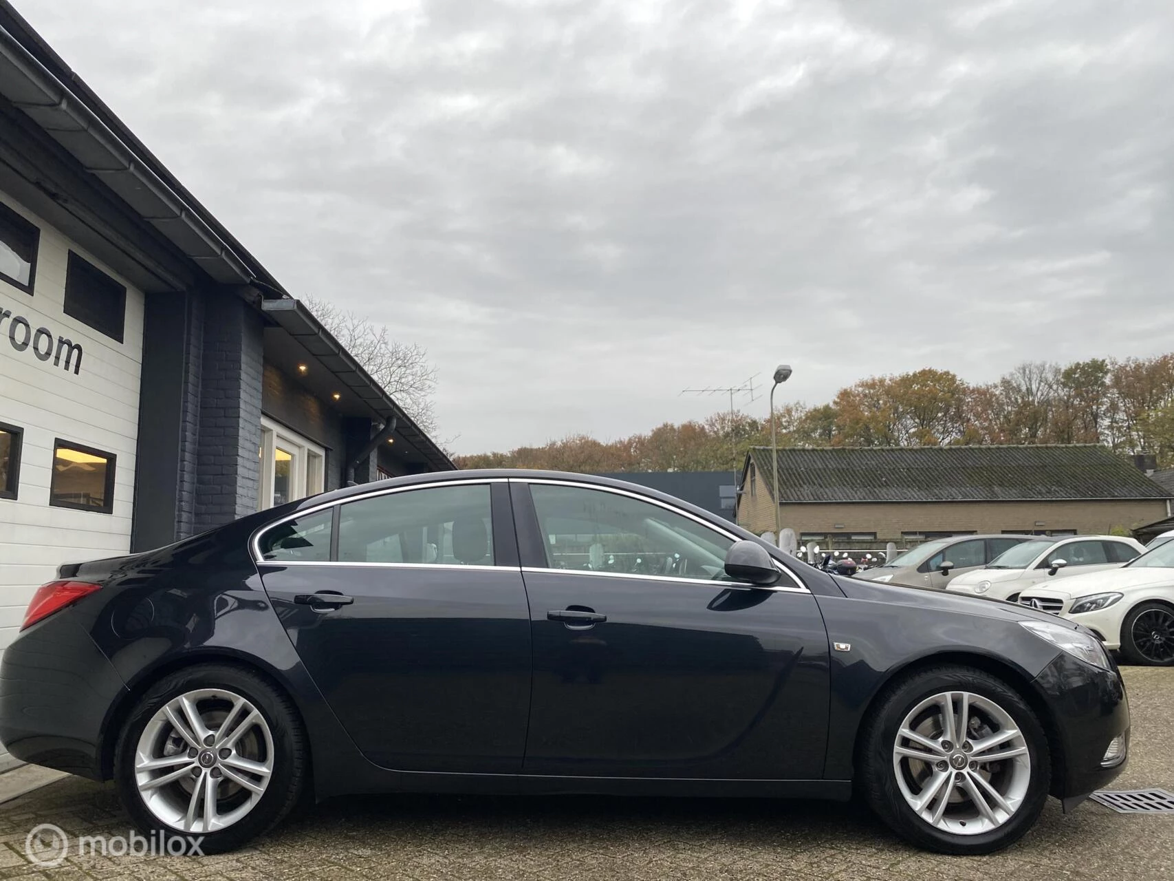 Hoofdafbeelding Opel Insignia