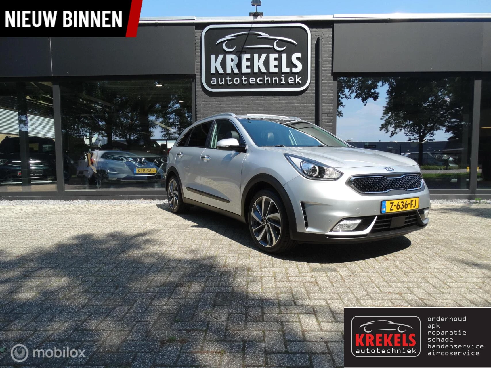 Hoofdafbeelding Kia Niro