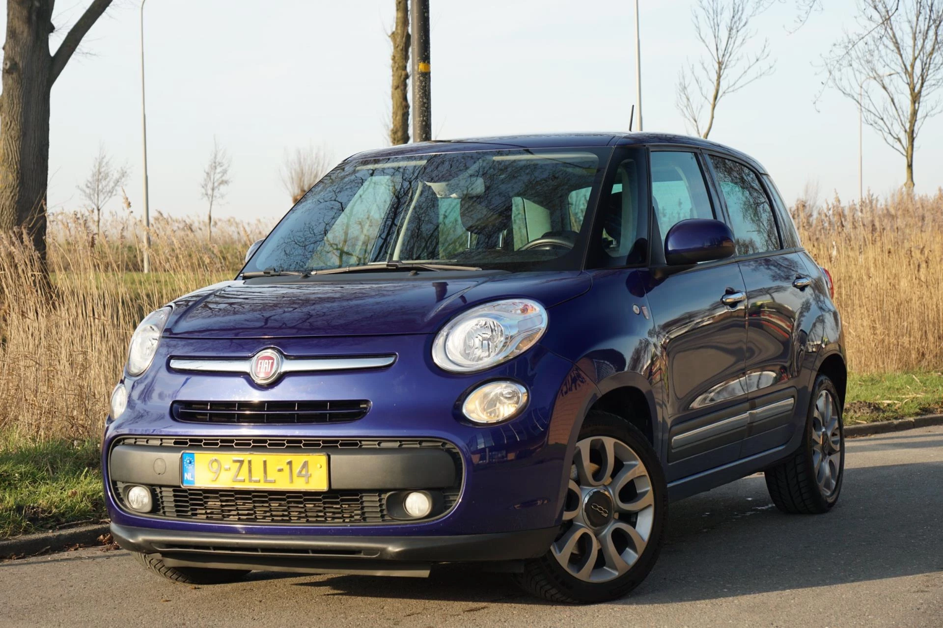 Hoofdafbeelding Fiat 500L