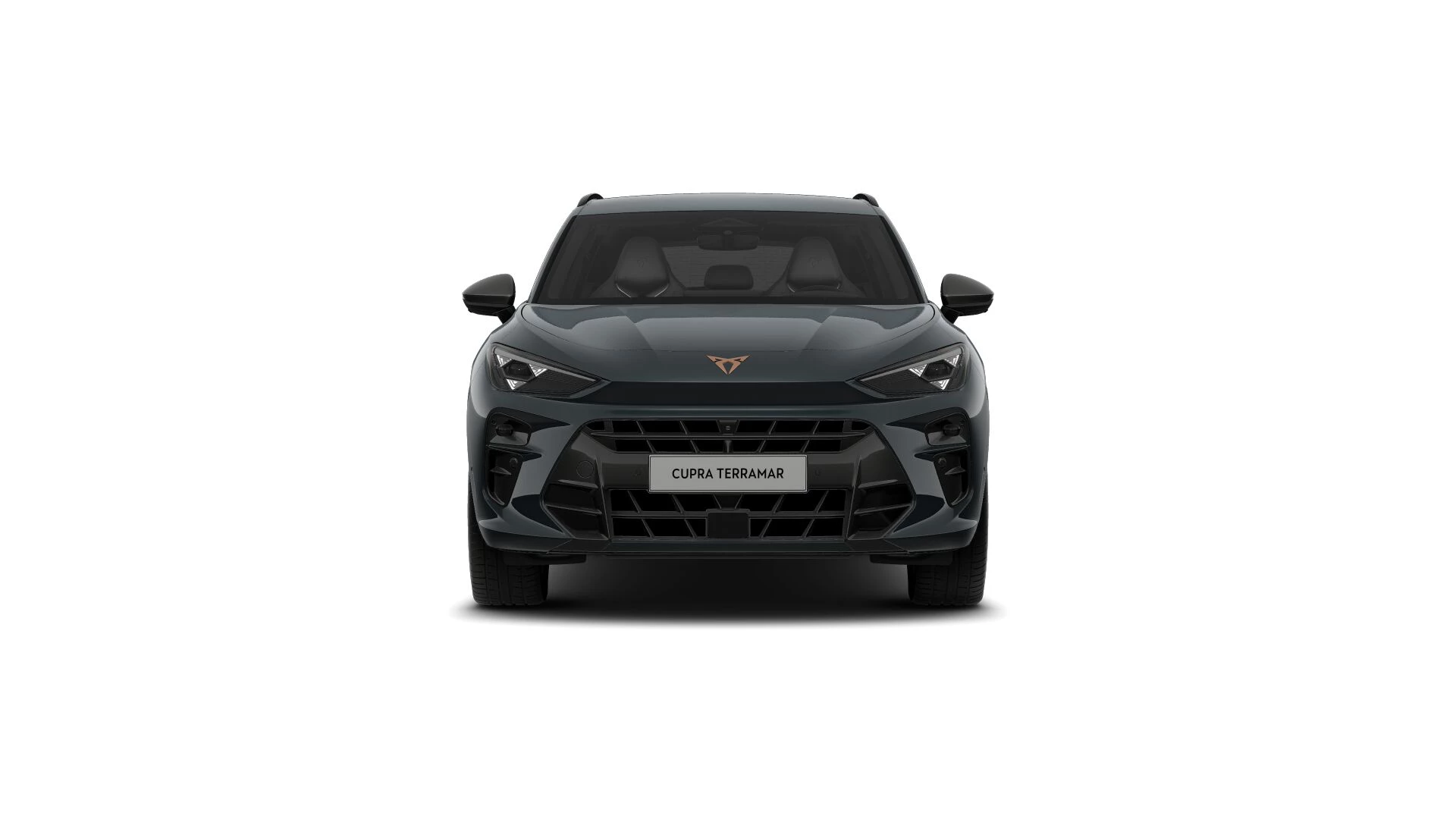 Hoofdafbeelding CUPRA Terramar