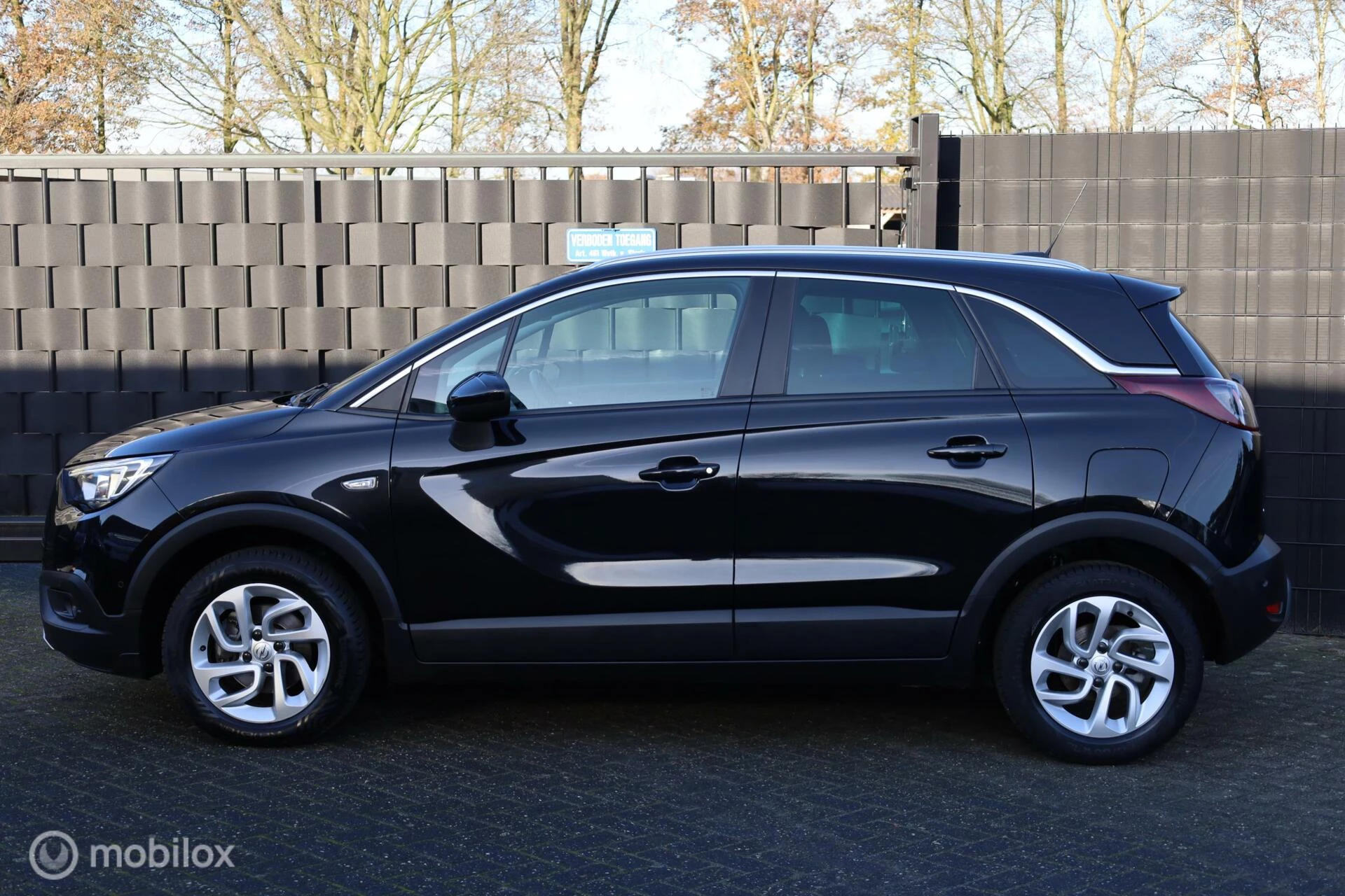 Hoofdafbeelding Opel Crossland X