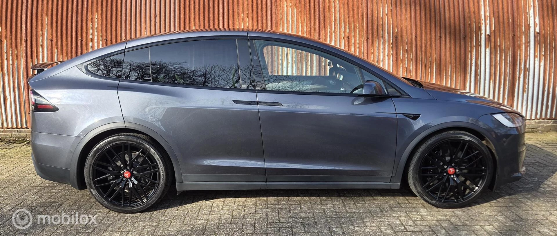 Hoofdafbeelding Tesla Model X