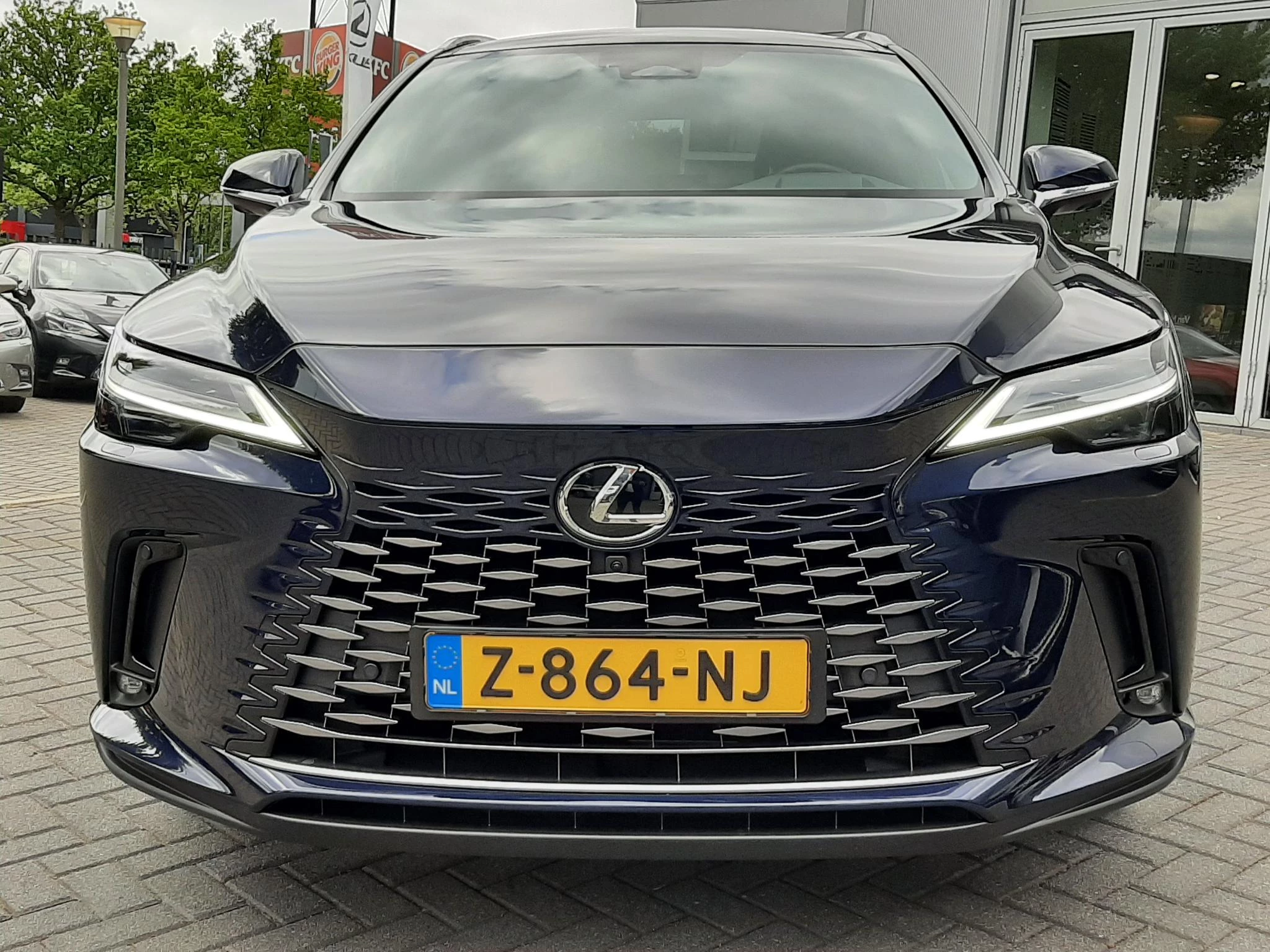 Hoofdafbeelding Lexus RX