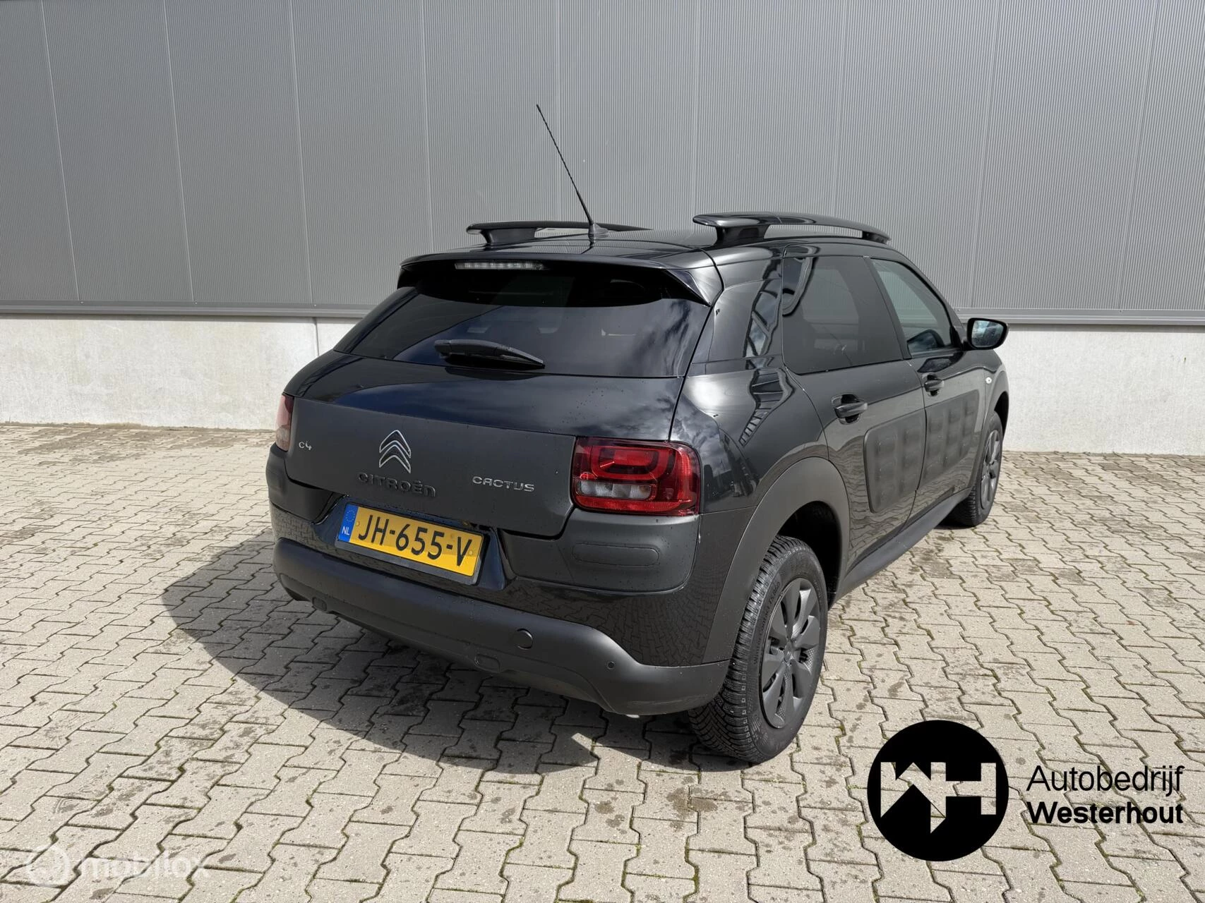 Hoofdafbeelding Citroën C4 Cactus