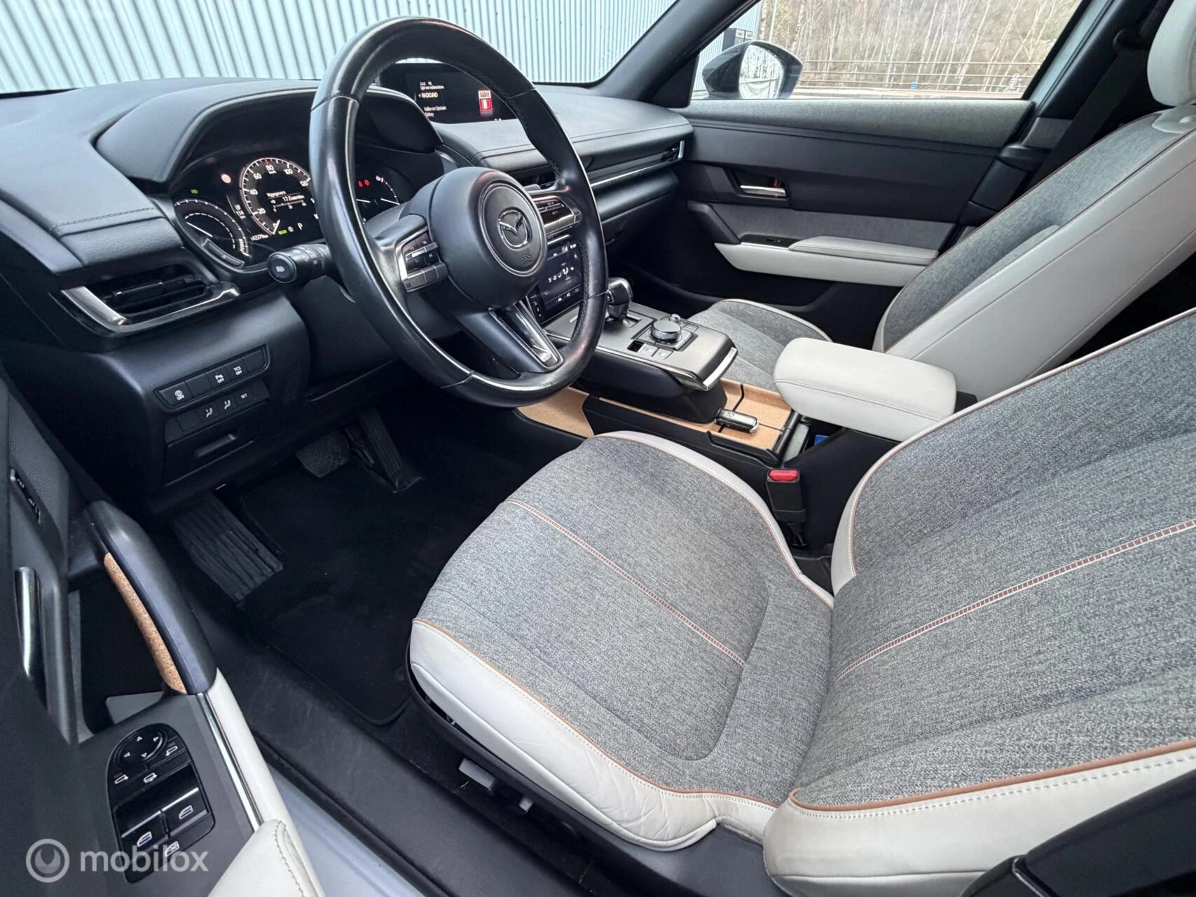 Hoofdafbeelding Mazda MX-30