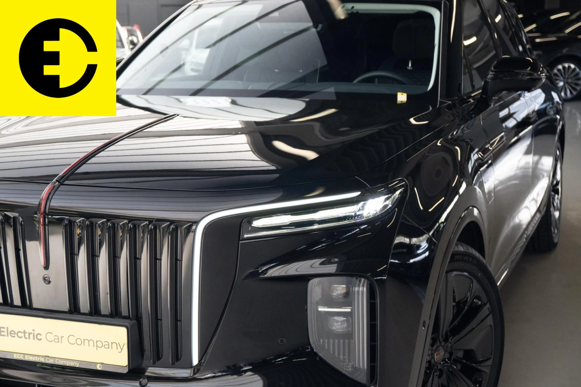 Hoofdafbeelding Hongqi E-HS9