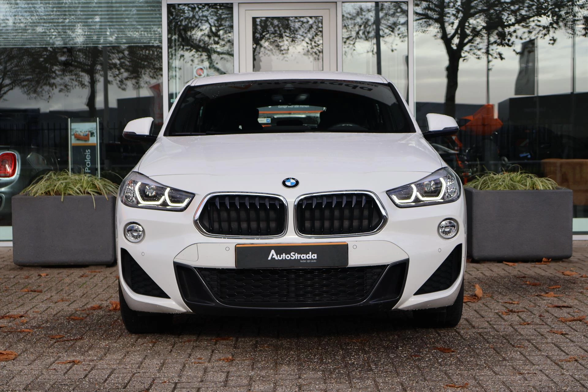 Hoofdafbeelding BMW X2