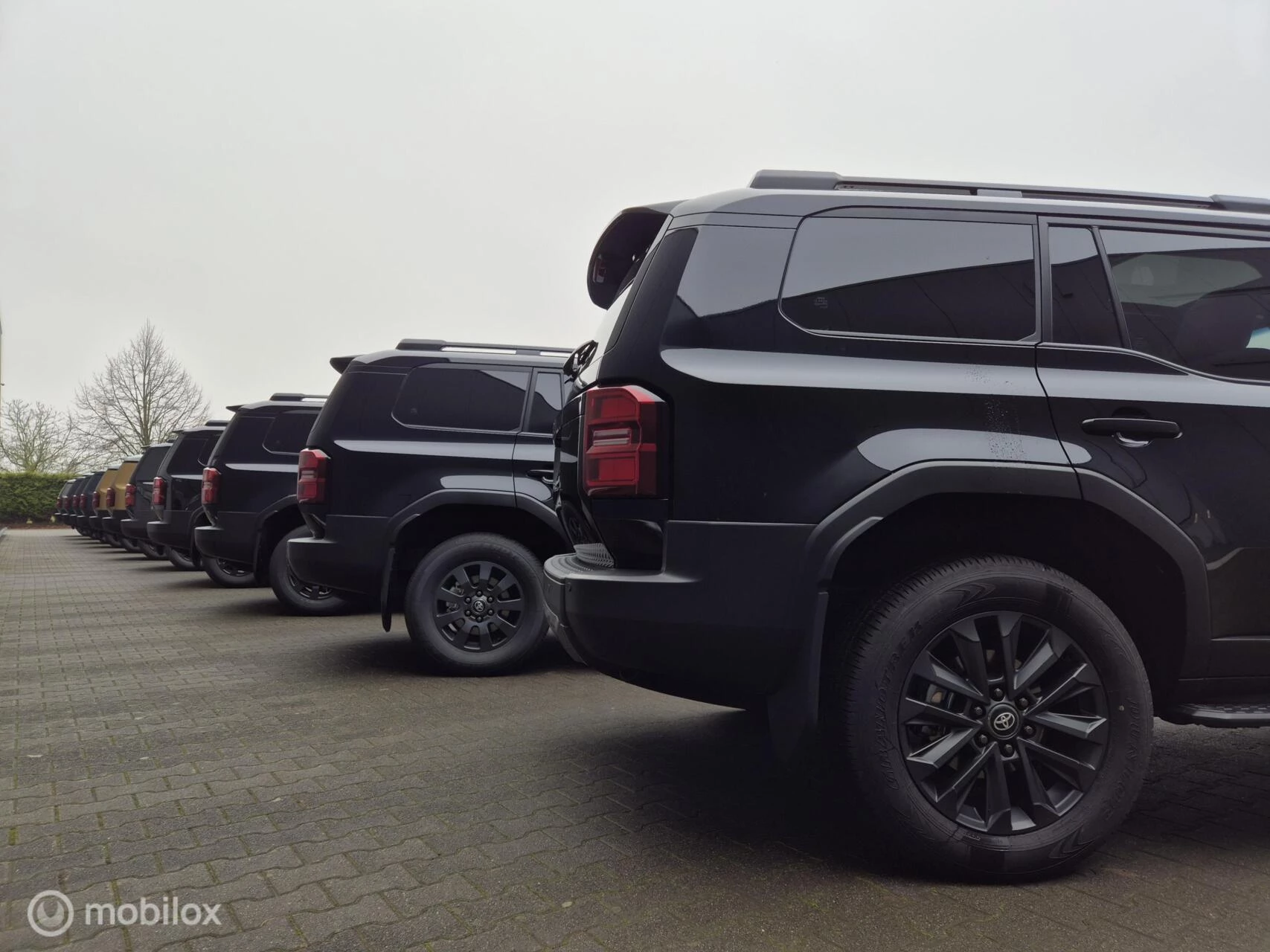 Hoofdafbeelding Toyota Land Cruiser