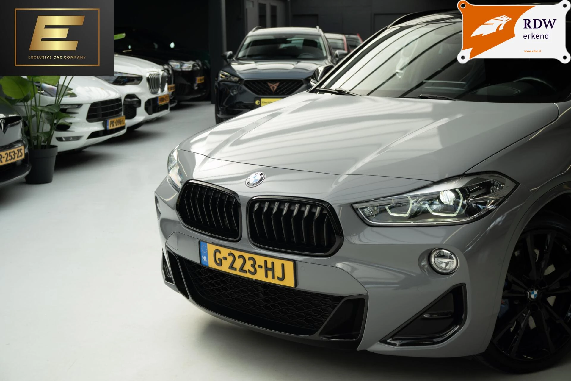 Hoofdafbeelding BMW X2