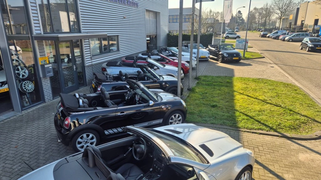 Hoofdafbeelding Volkswagen Beetle