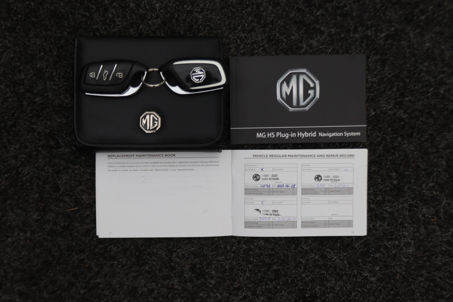 Hoofdafbeelding MG EHS