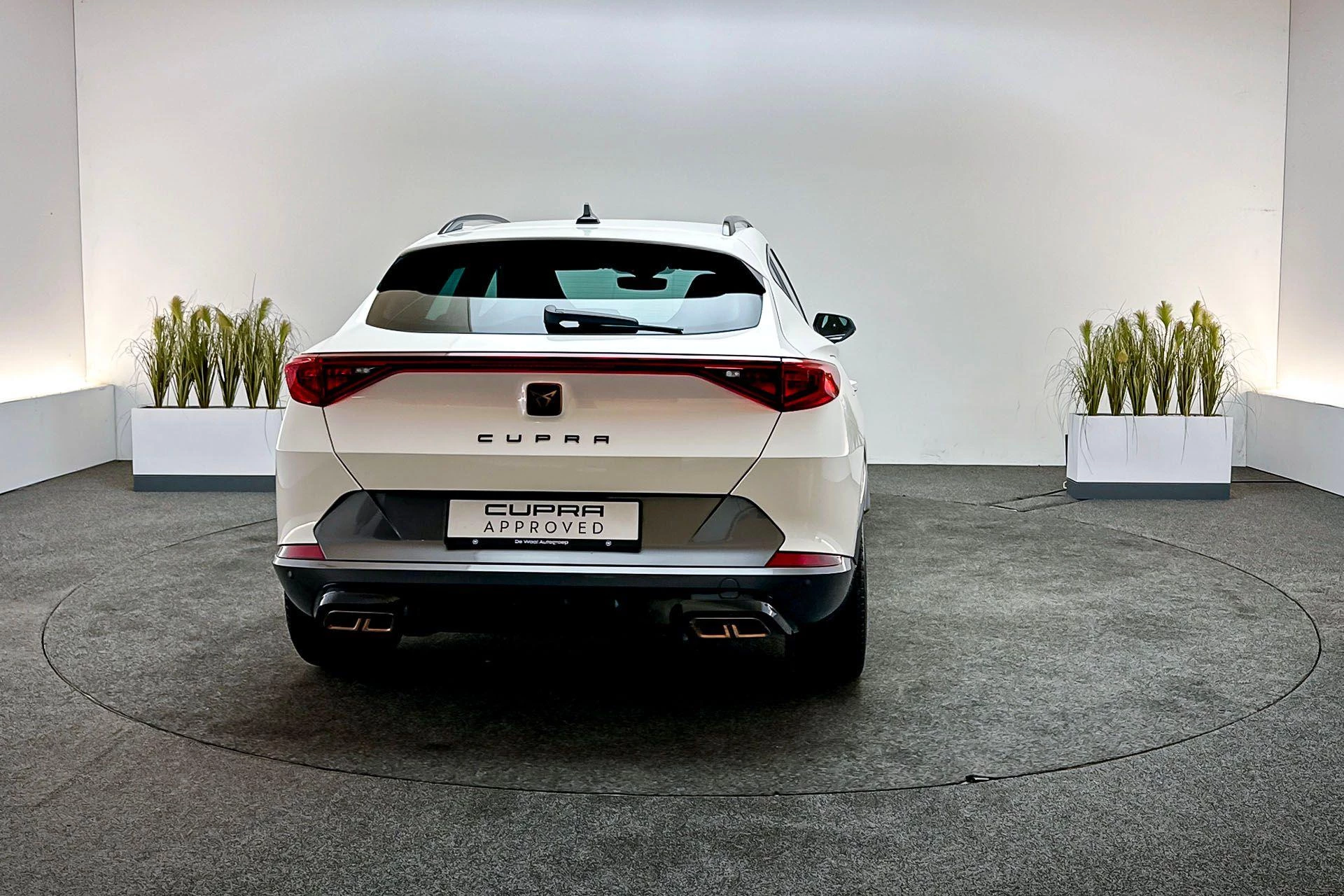 Hoofdafbeelding CUPRA Formentor
