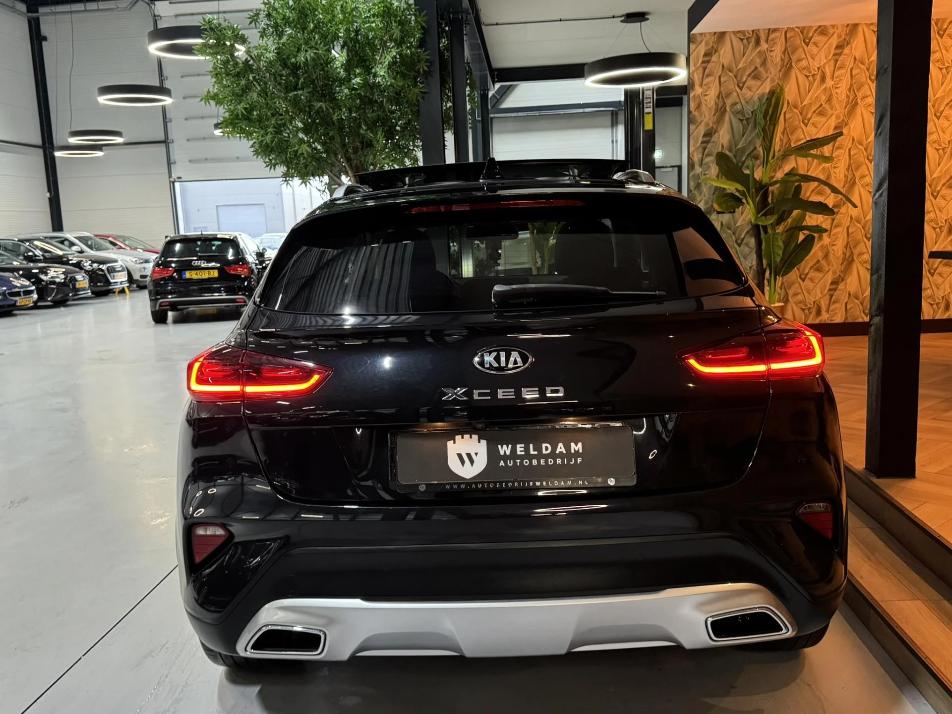 Hoofdafbeelding Kia XCeed