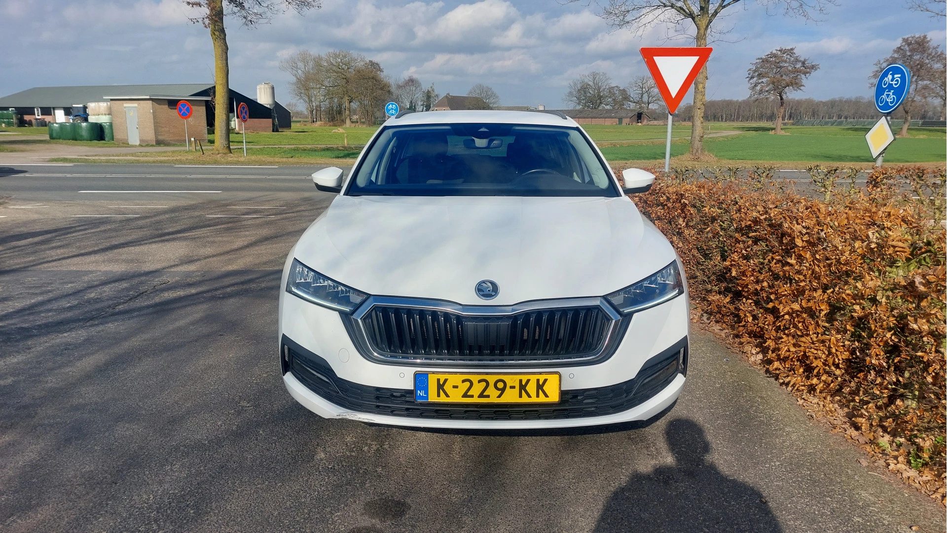 Hoofdafbeelding Škoda Octavia