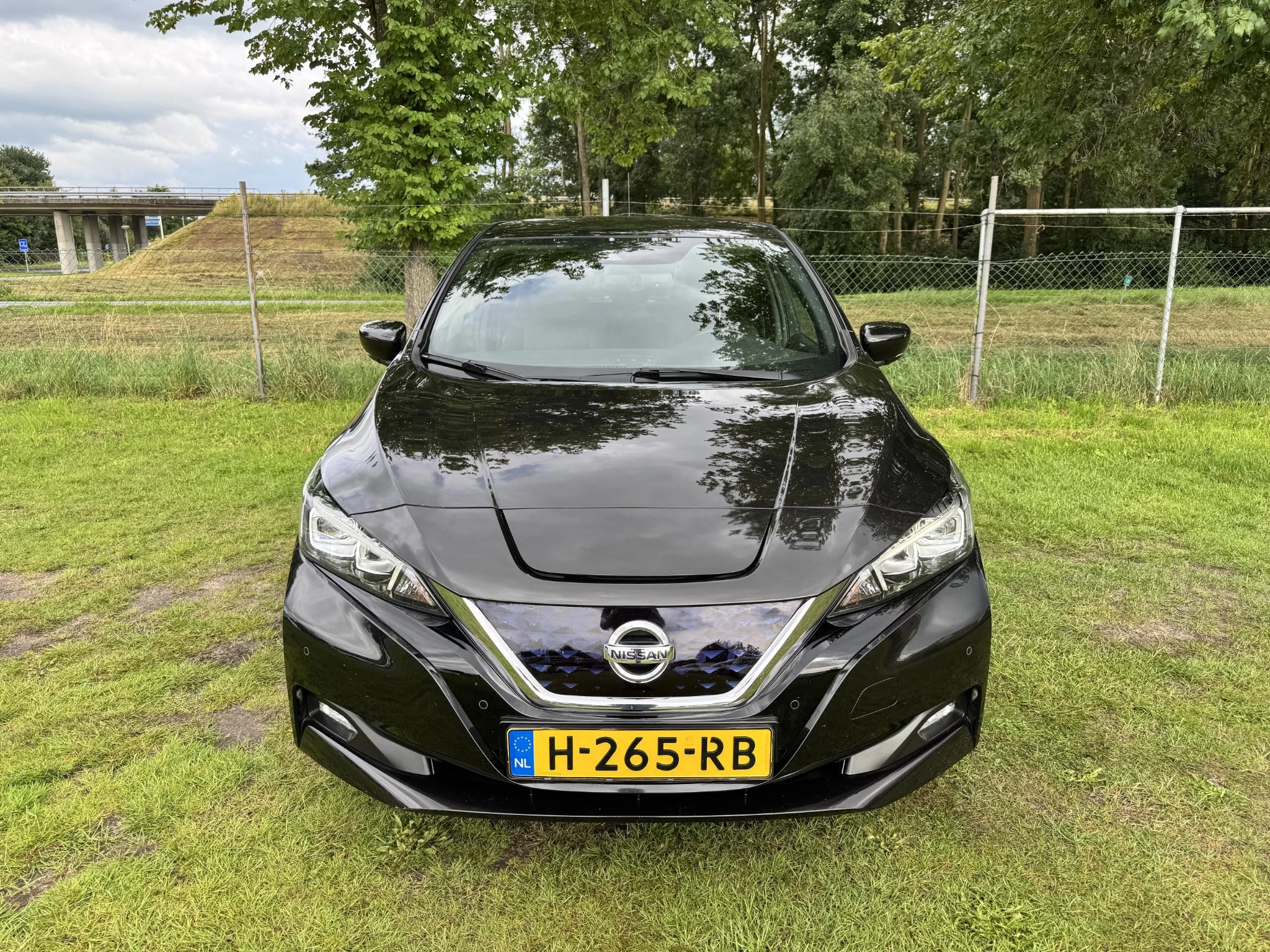 Hoofdafbeelding Nissan Leaf