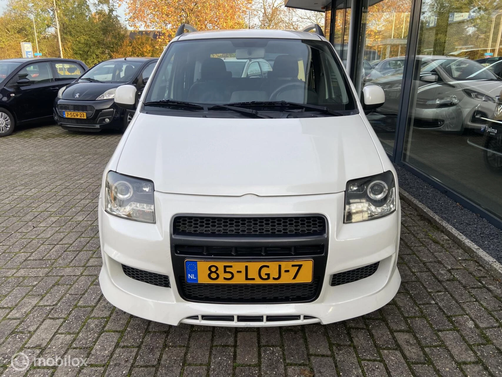 Hoofdafbeelding Fiat Panda