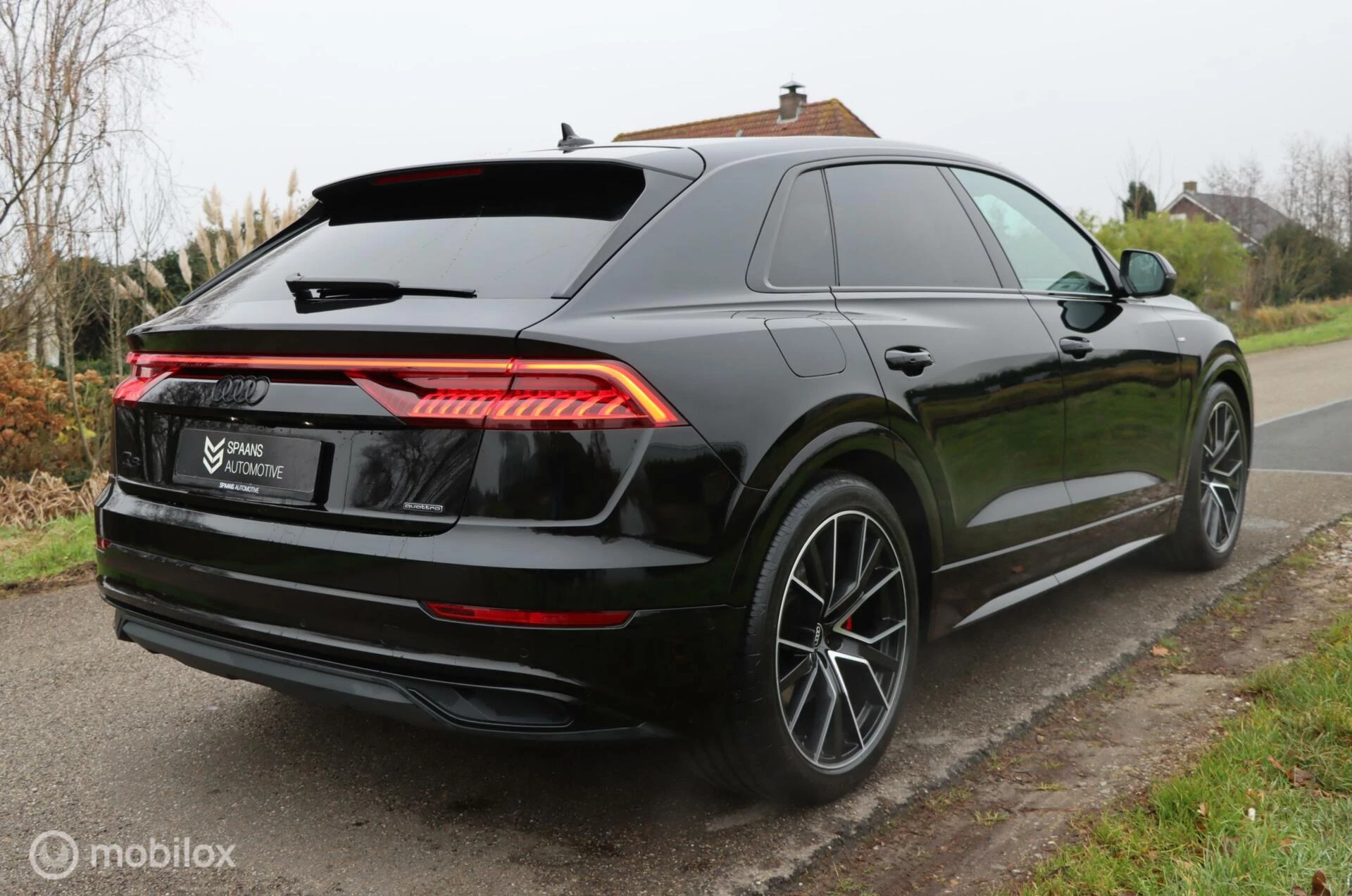 Hoofdafbeelding Audi Q8