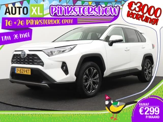 Toyota RAV4 2.5 Hybrid Business+ JBL 360* Camera Leder