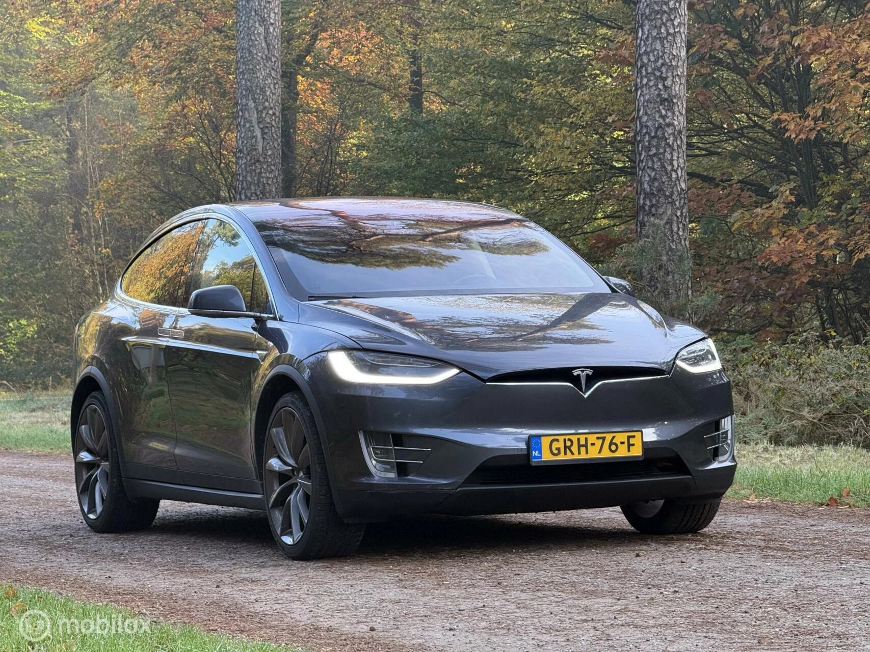 Hoofdafbeelding Tesla Model X