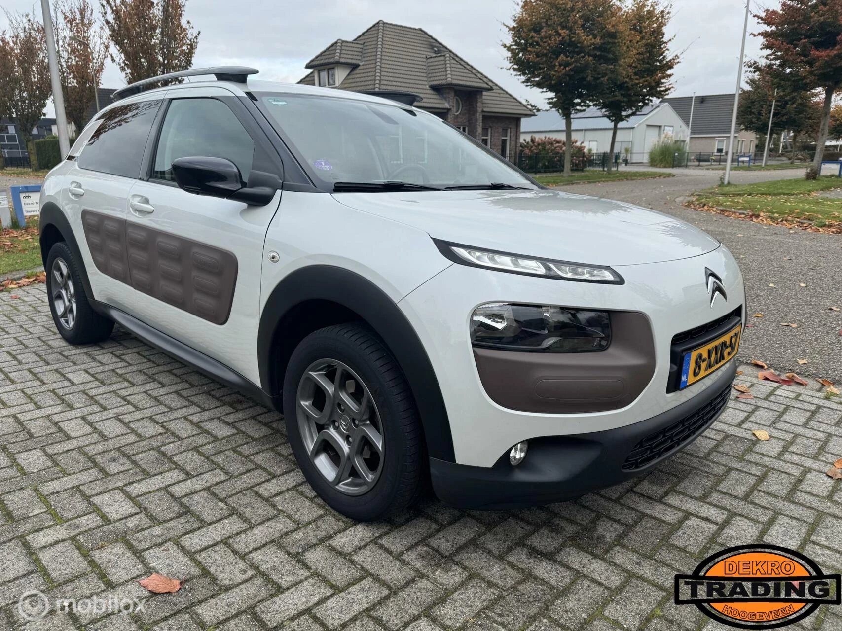 Hoofdafbeelding Citroën C4 Cactus