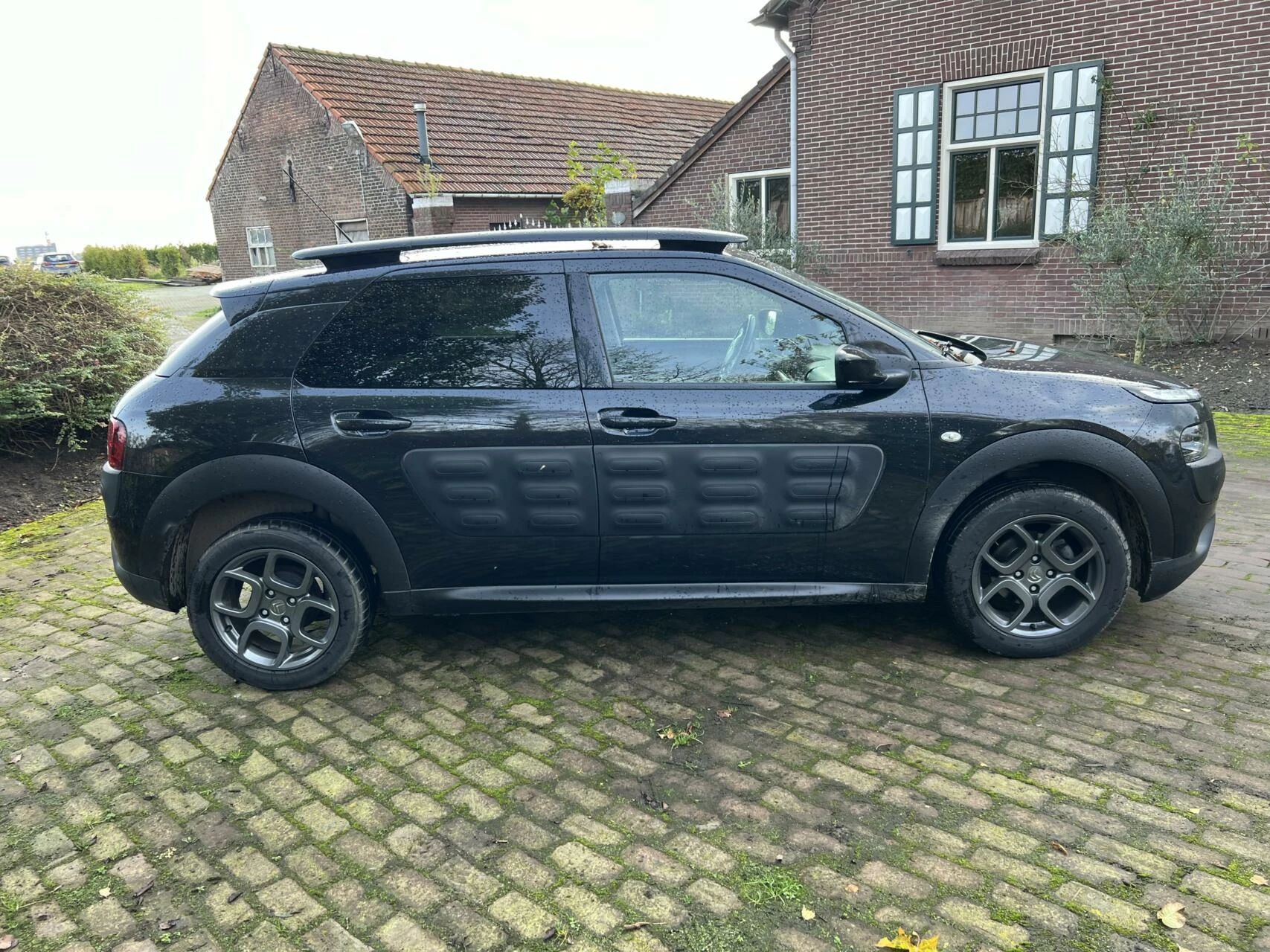 Hoofdafbeelding Citroën C4 Cactus