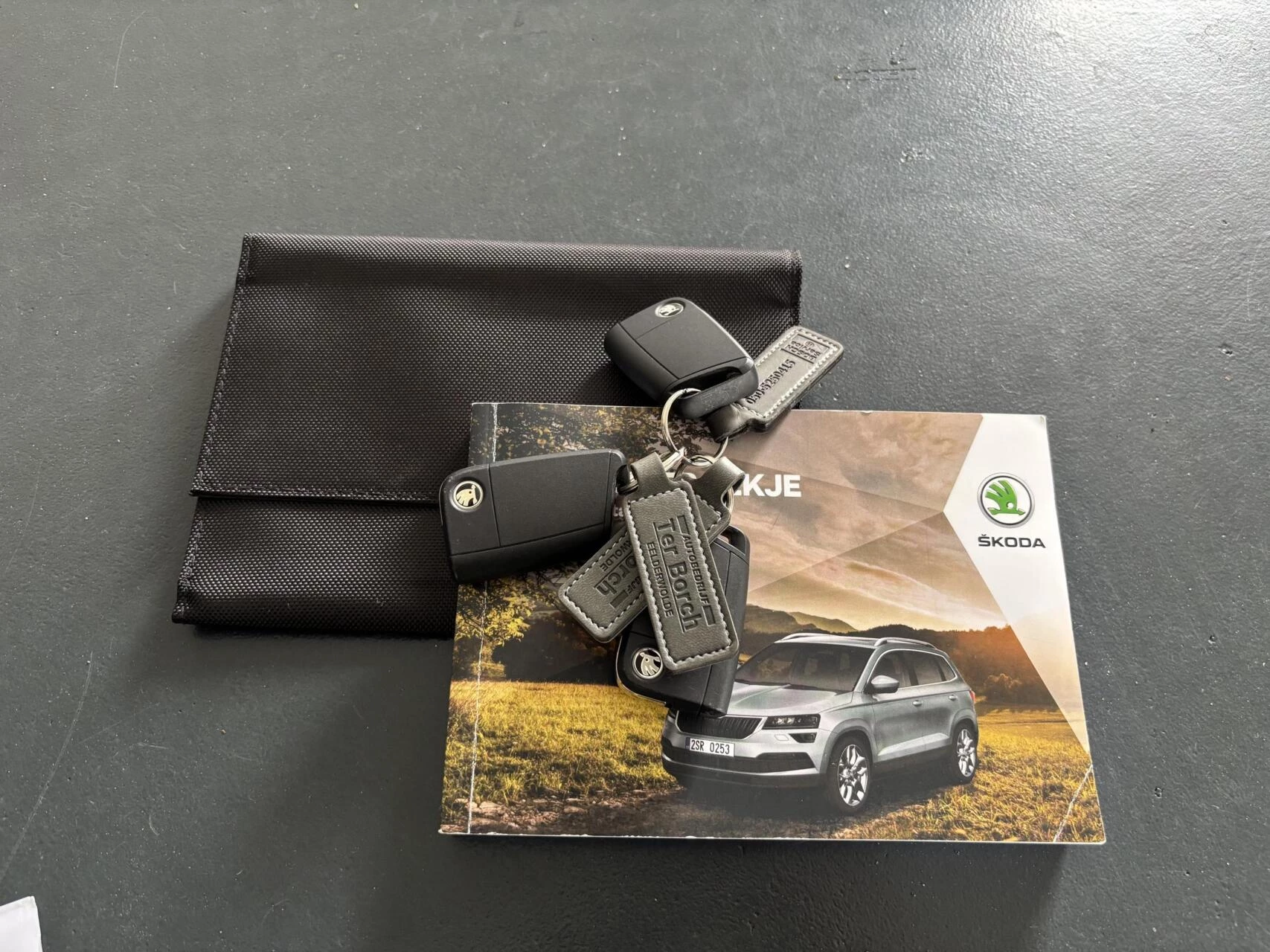 Hoofdafbeelding Škoda Karoq
