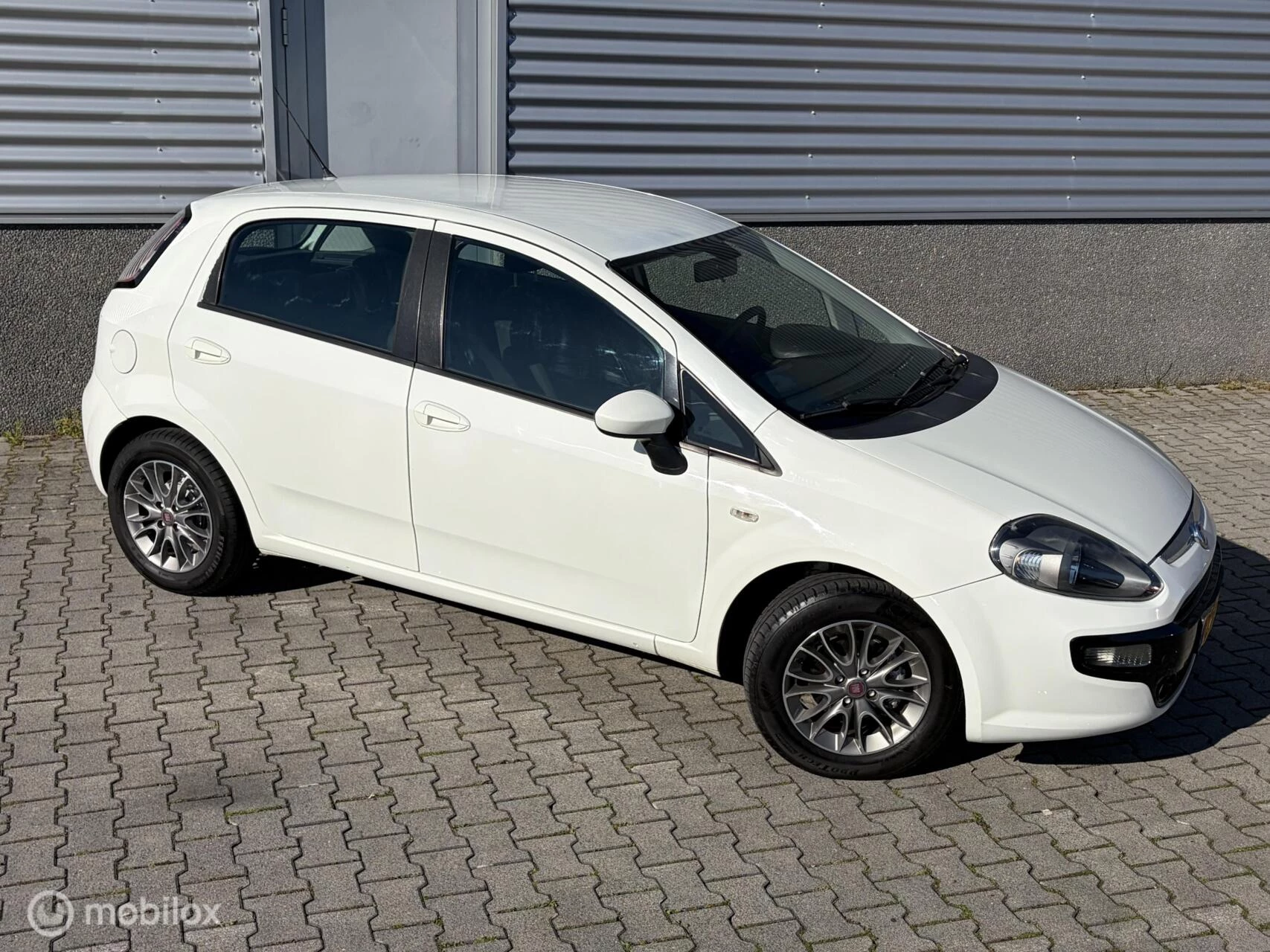 Hoofdafbeelding Fiat Punto