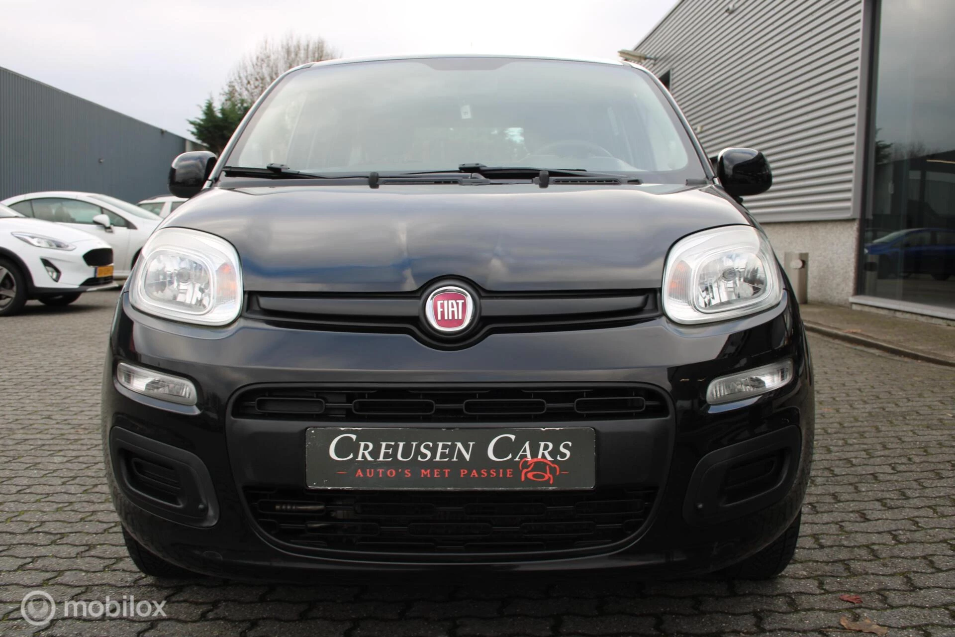 Hoofdafbeelding Fiat Panda