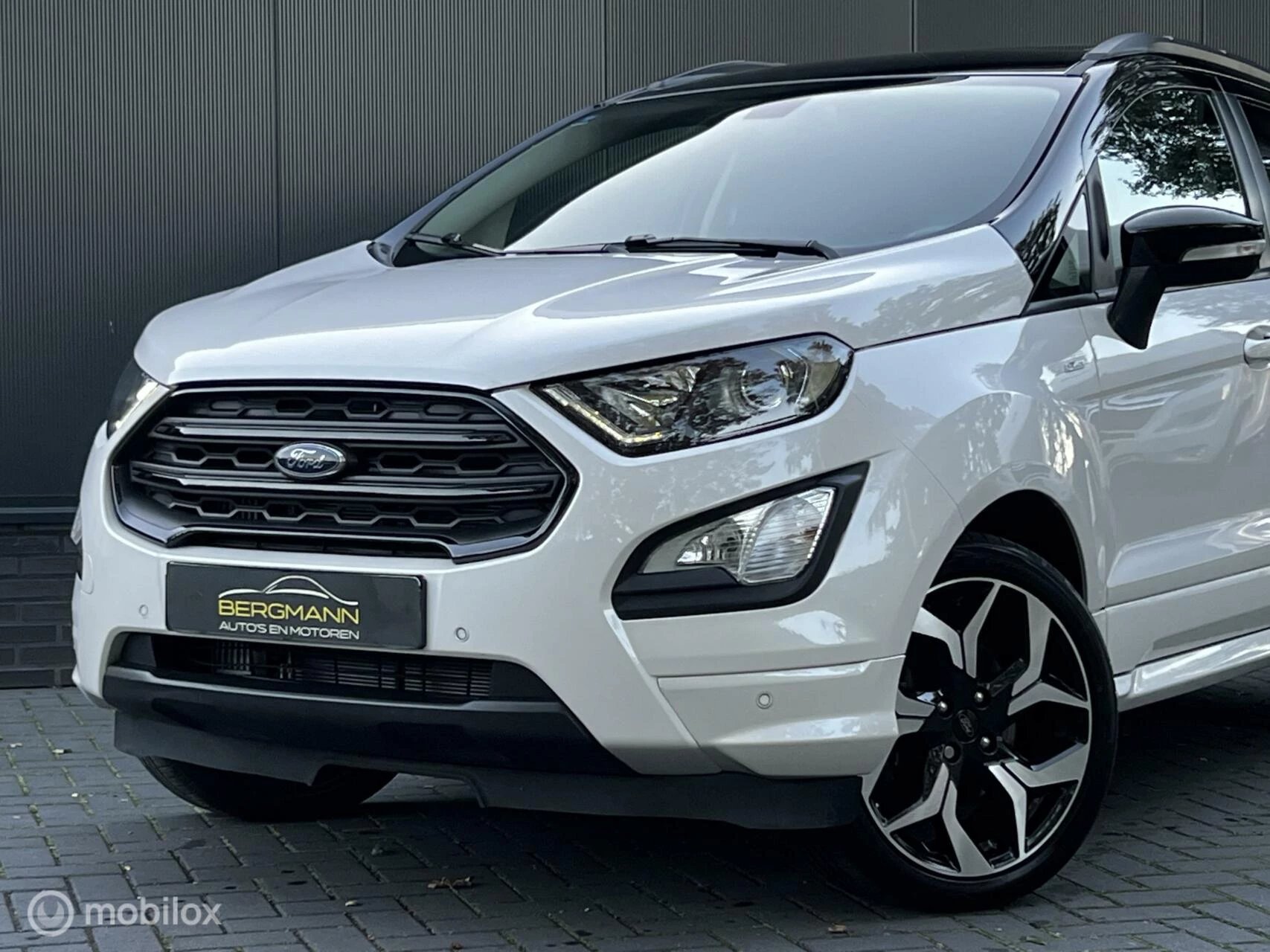 Hoofdafbeelding Ford EcoSport