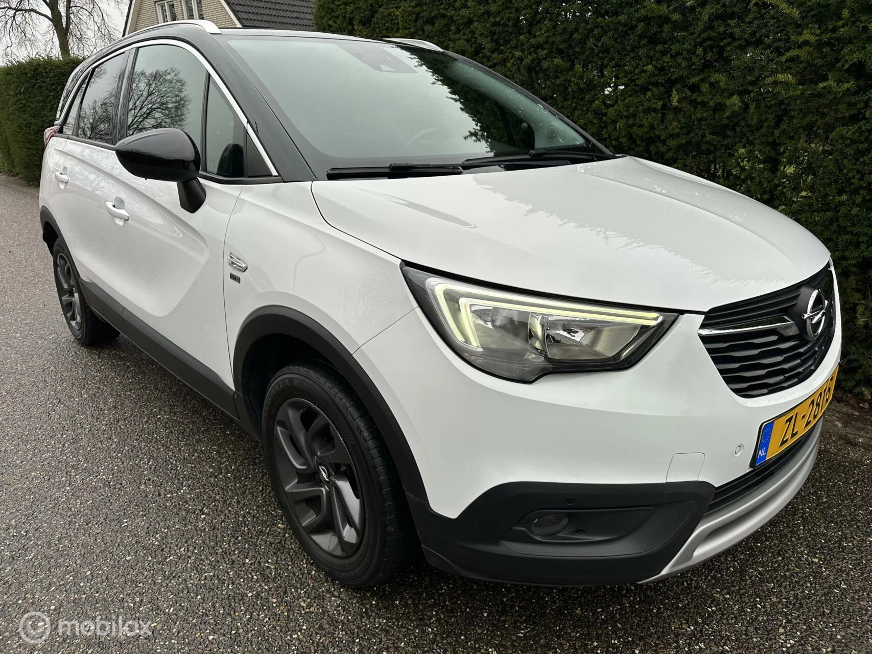 Hoofdafbeelding Opel Crossland X